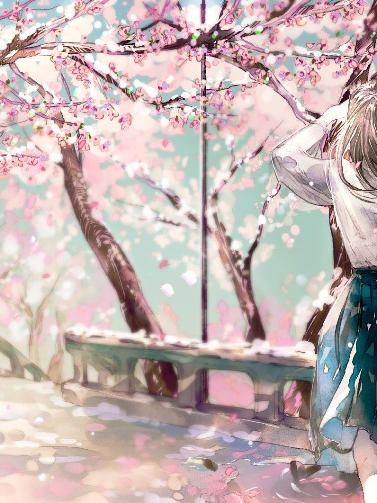 Download 768x1024 Cherry Blossom, Sakura, Anime Girl, Back View