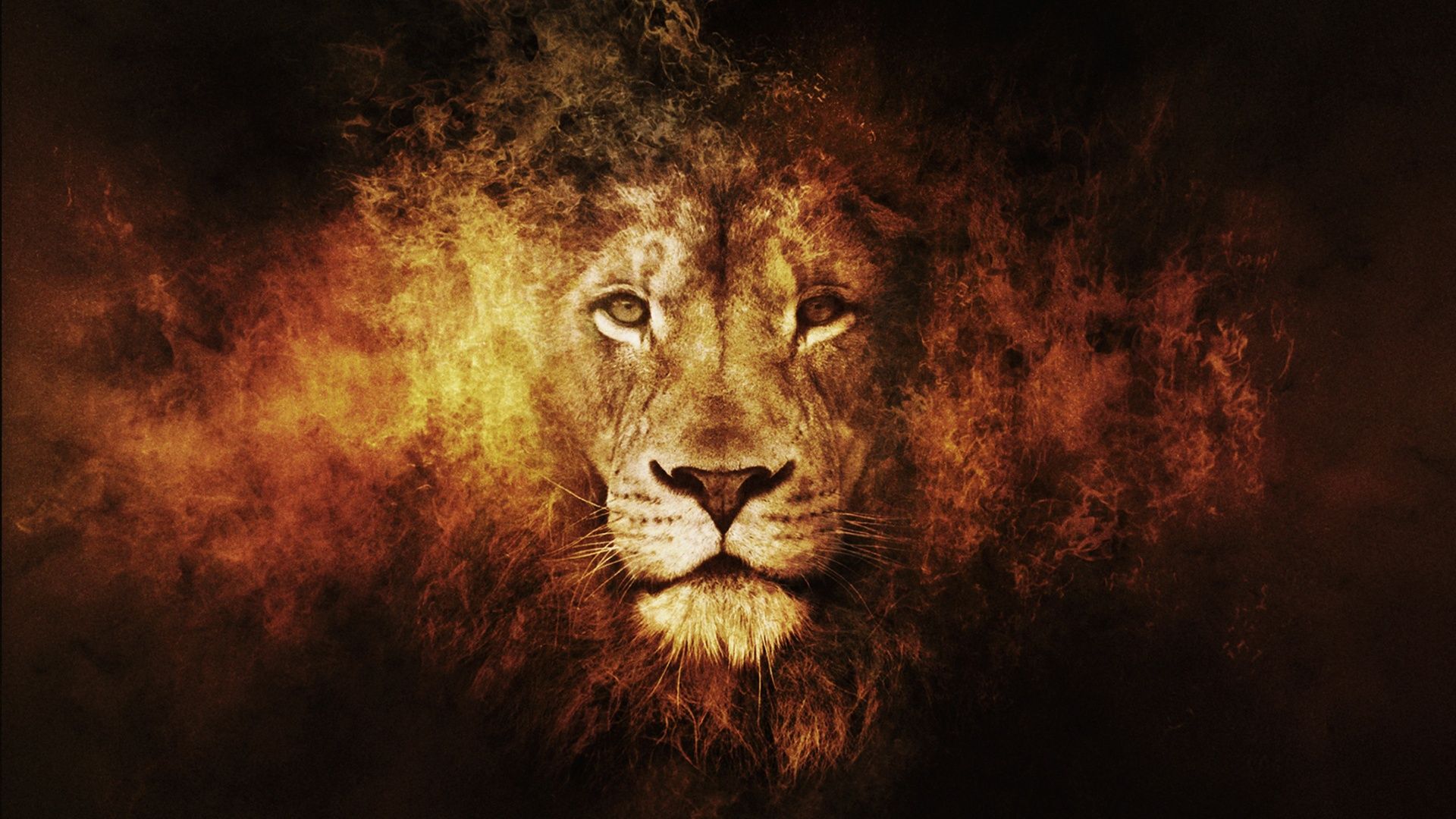desktop lion HD wallpaper 1080p. Lion HD wallpaper, Lion artwork