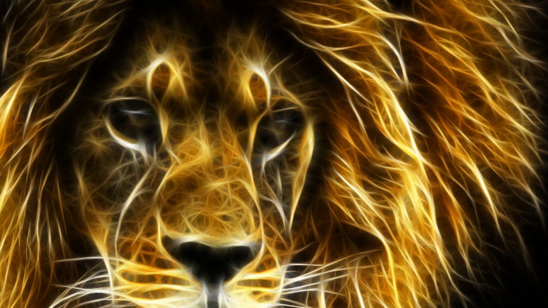 Lion 1080p Wallpaper