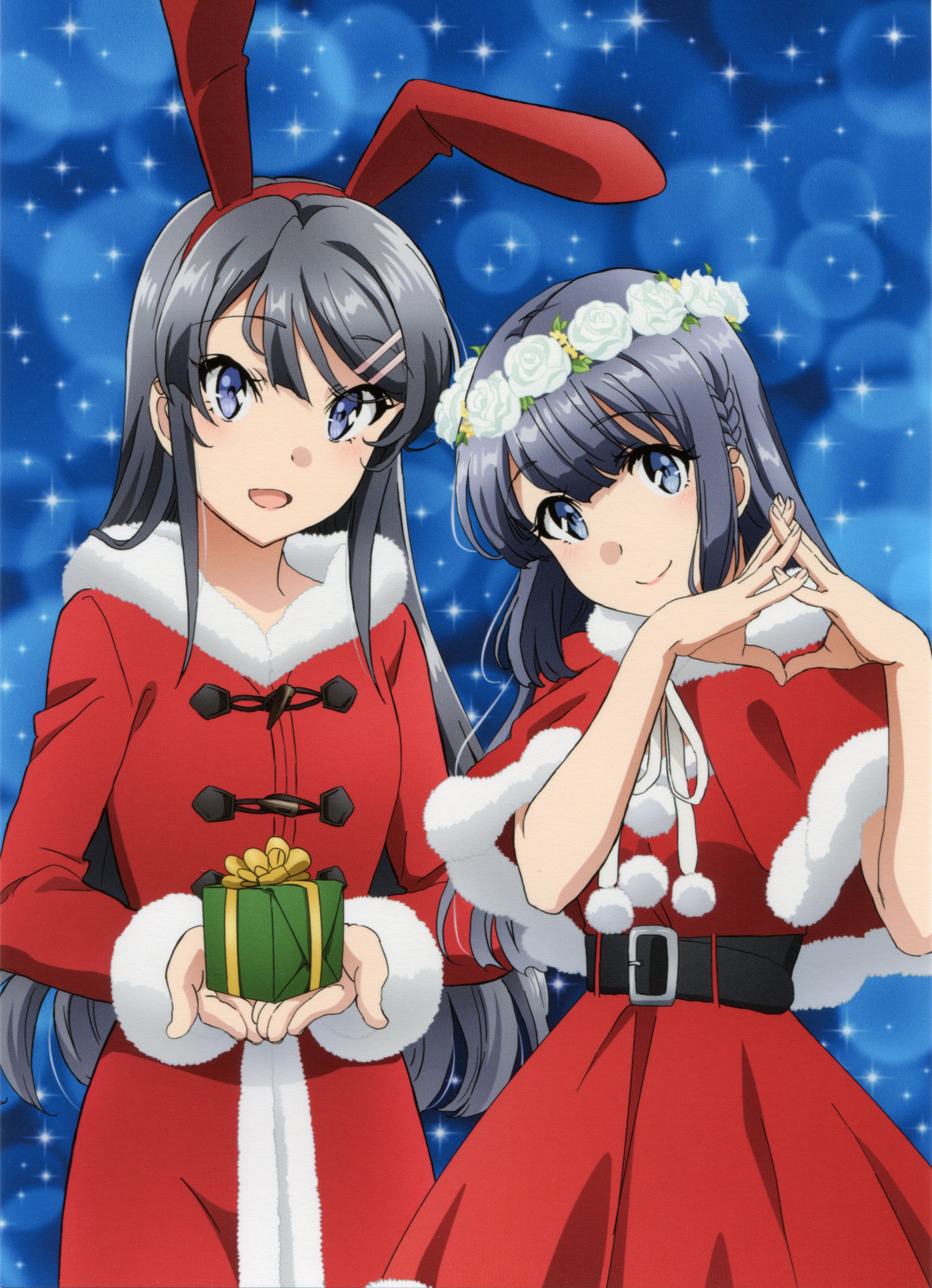 Seishun Buta Yarou 4k Phone Wallpapers - Wallpaper Cave