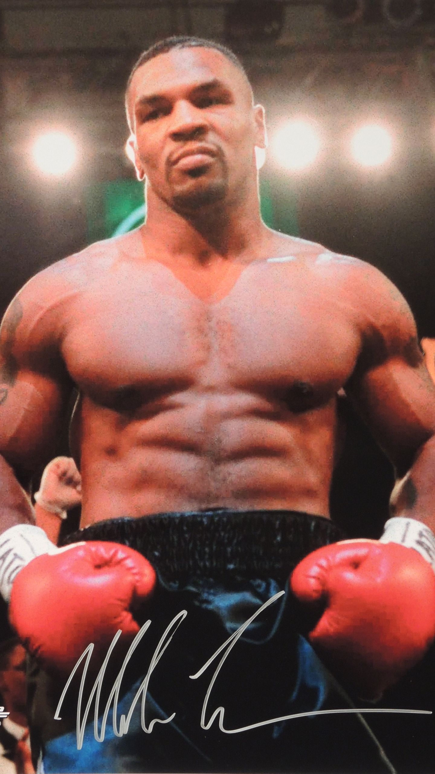 Mike Tyson HD Phone Wallpapers  Wallpaper Cave