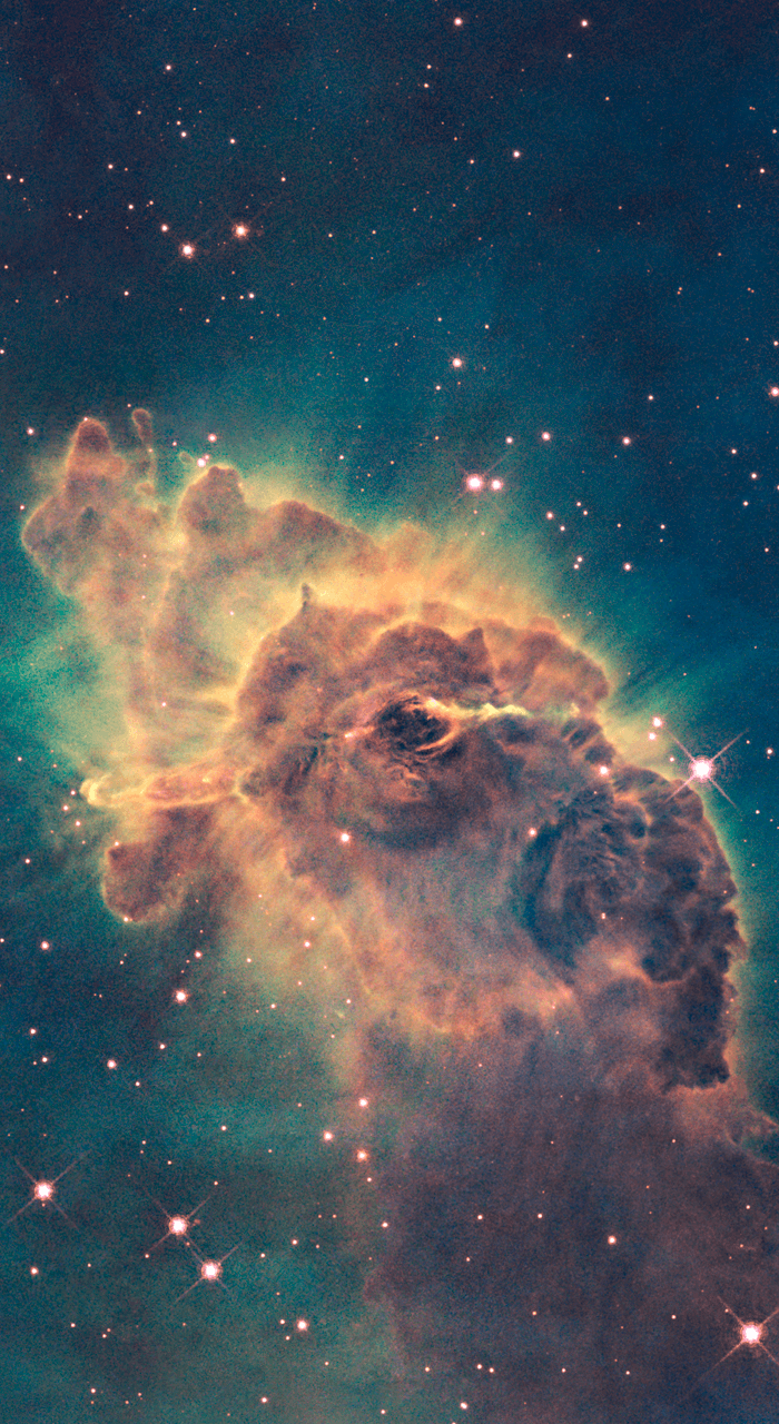 Hubble Phone Wallpaper Apes In Space