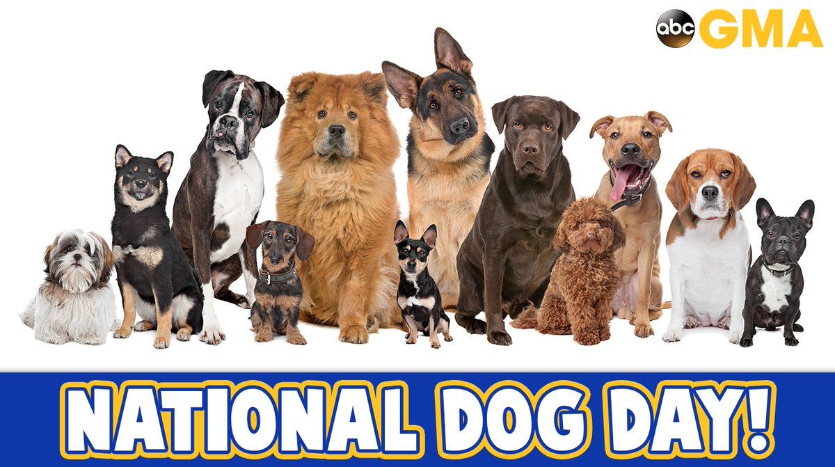 National Love Your Pet Day Wallpapers - Wallpaper Cave