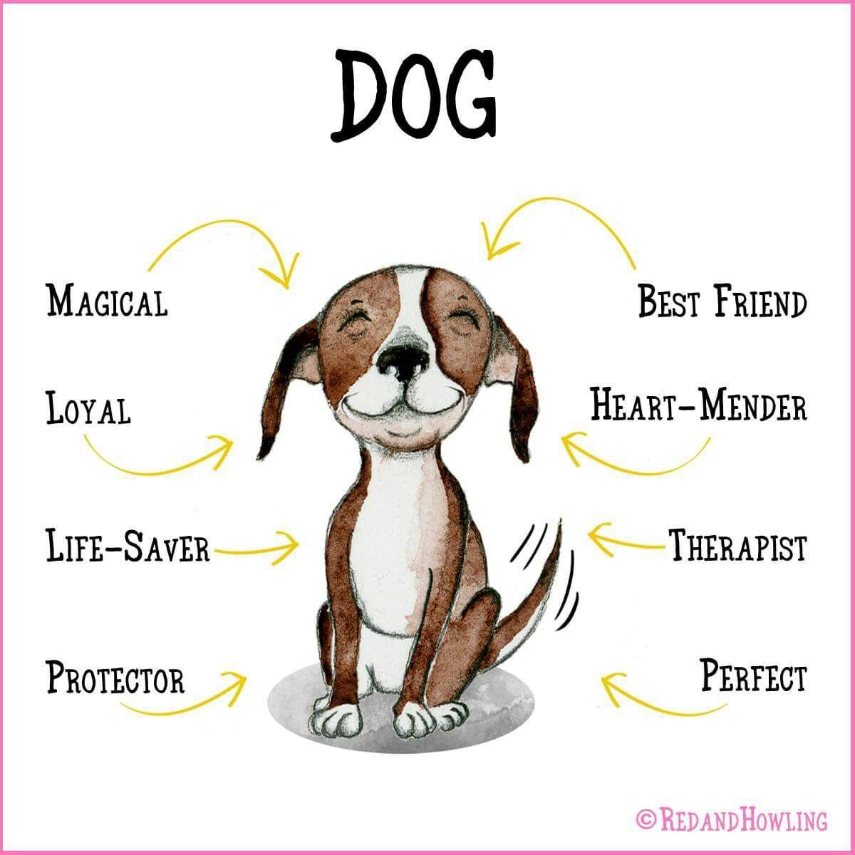 Dogs #description #magic #quotes #visual #inspiration #quotes