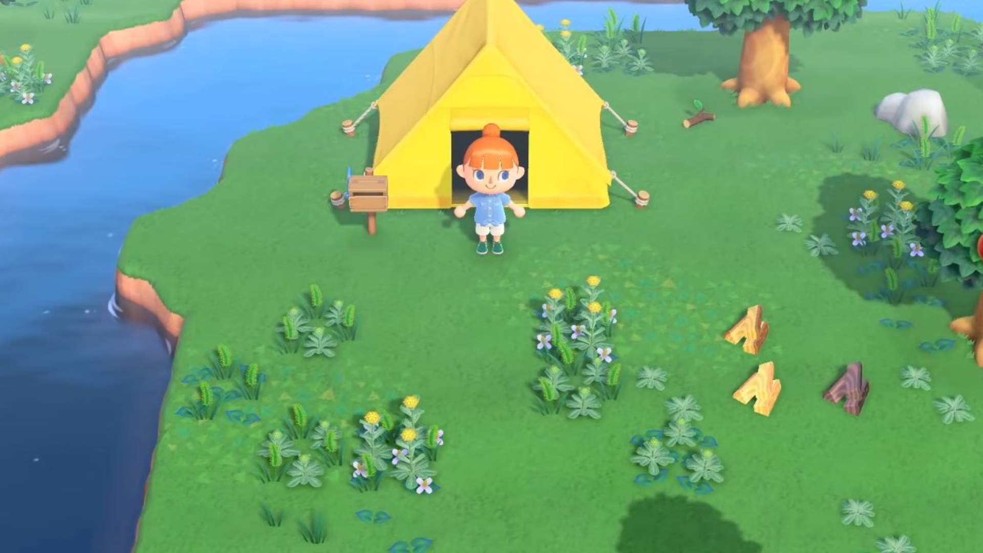 Animal Crossing: New Horizon's Customization Options Prove