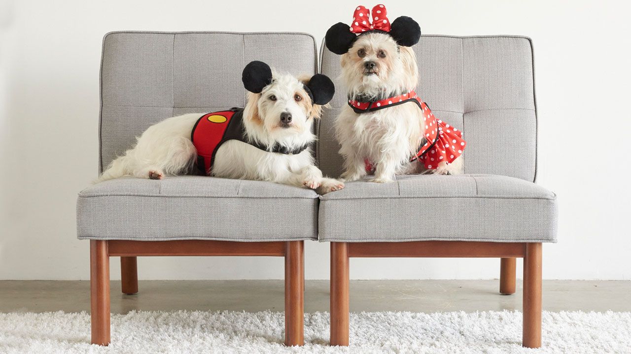 Fetch Dog Themed Products From Disney Parks For National Dog Day