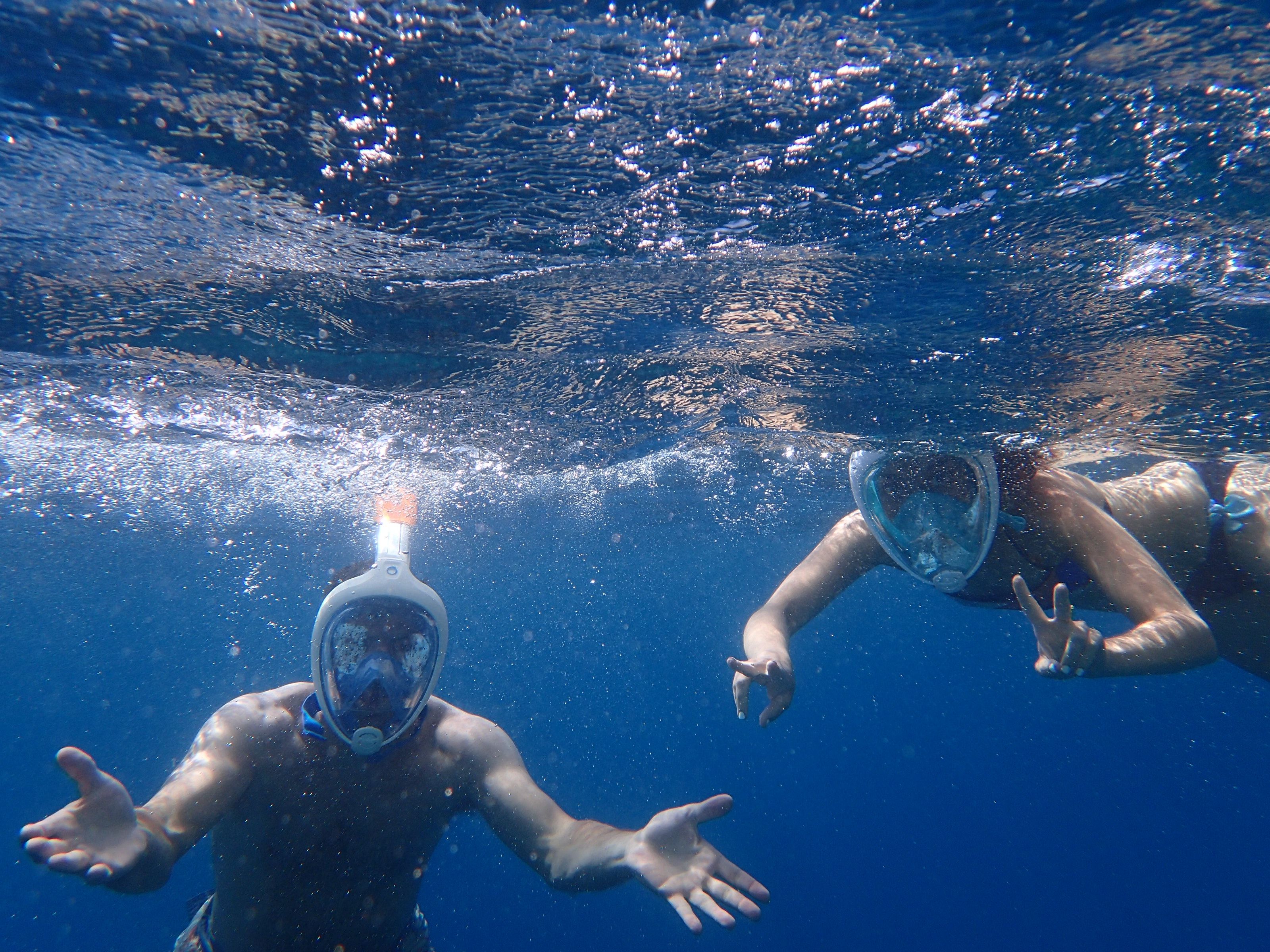 Photo of People Snorkeling Underwater · Free