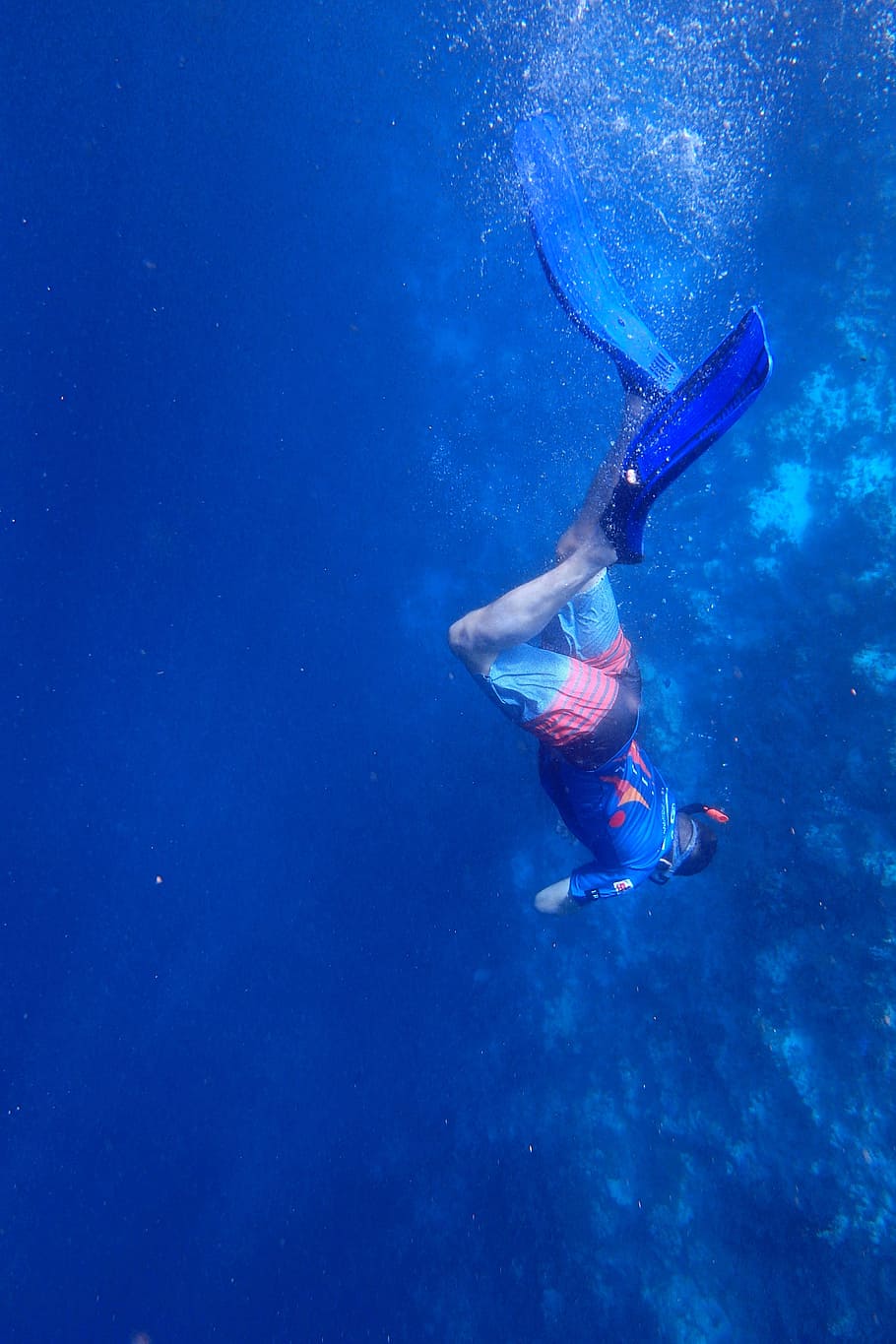 HD wallpaper: dive, snorkel, boy, underwater, blue, sea, swim