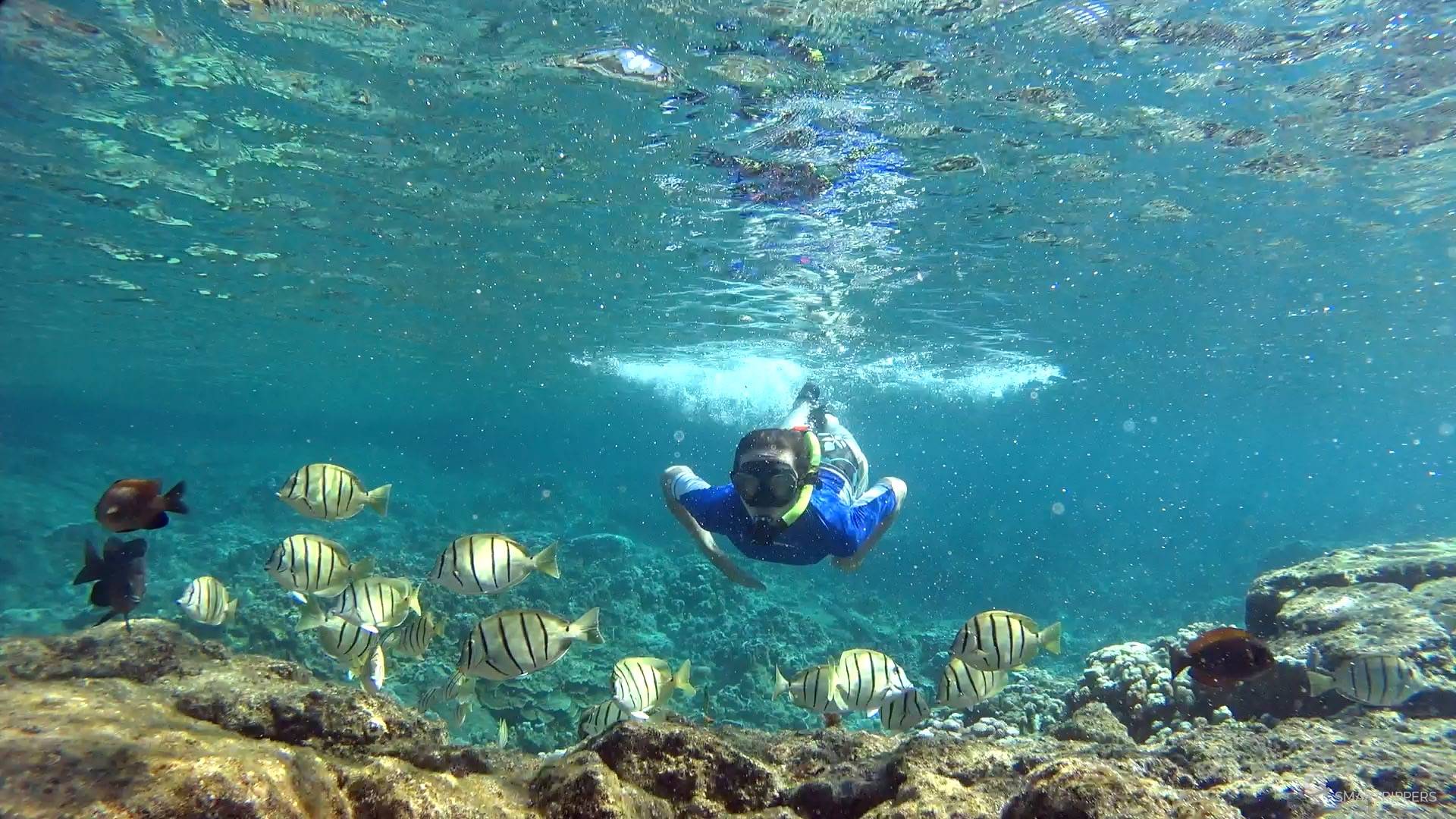 Where to Snorkel in Hawaii: Our Favorite Spots