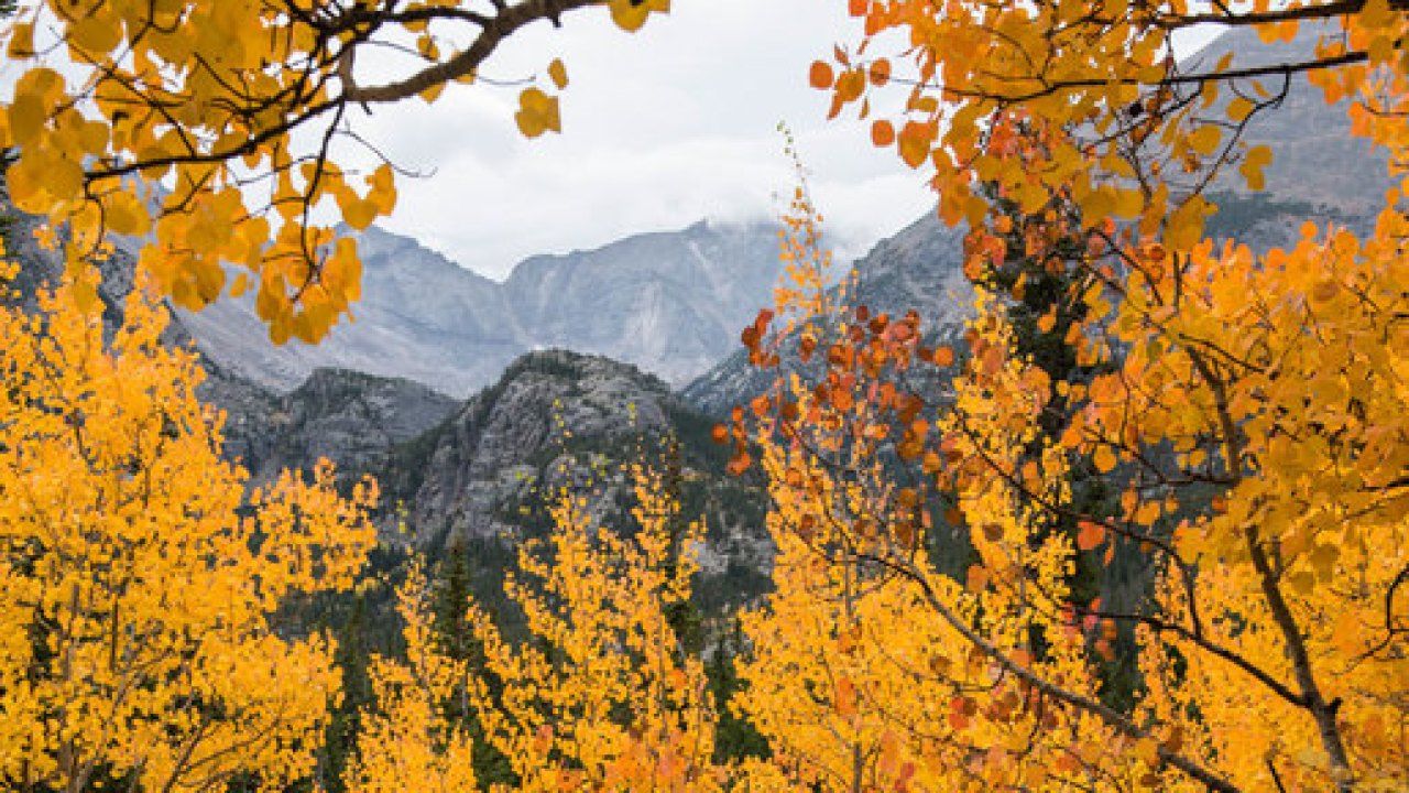 GREAT places to see the fall colors in Colorado right now
