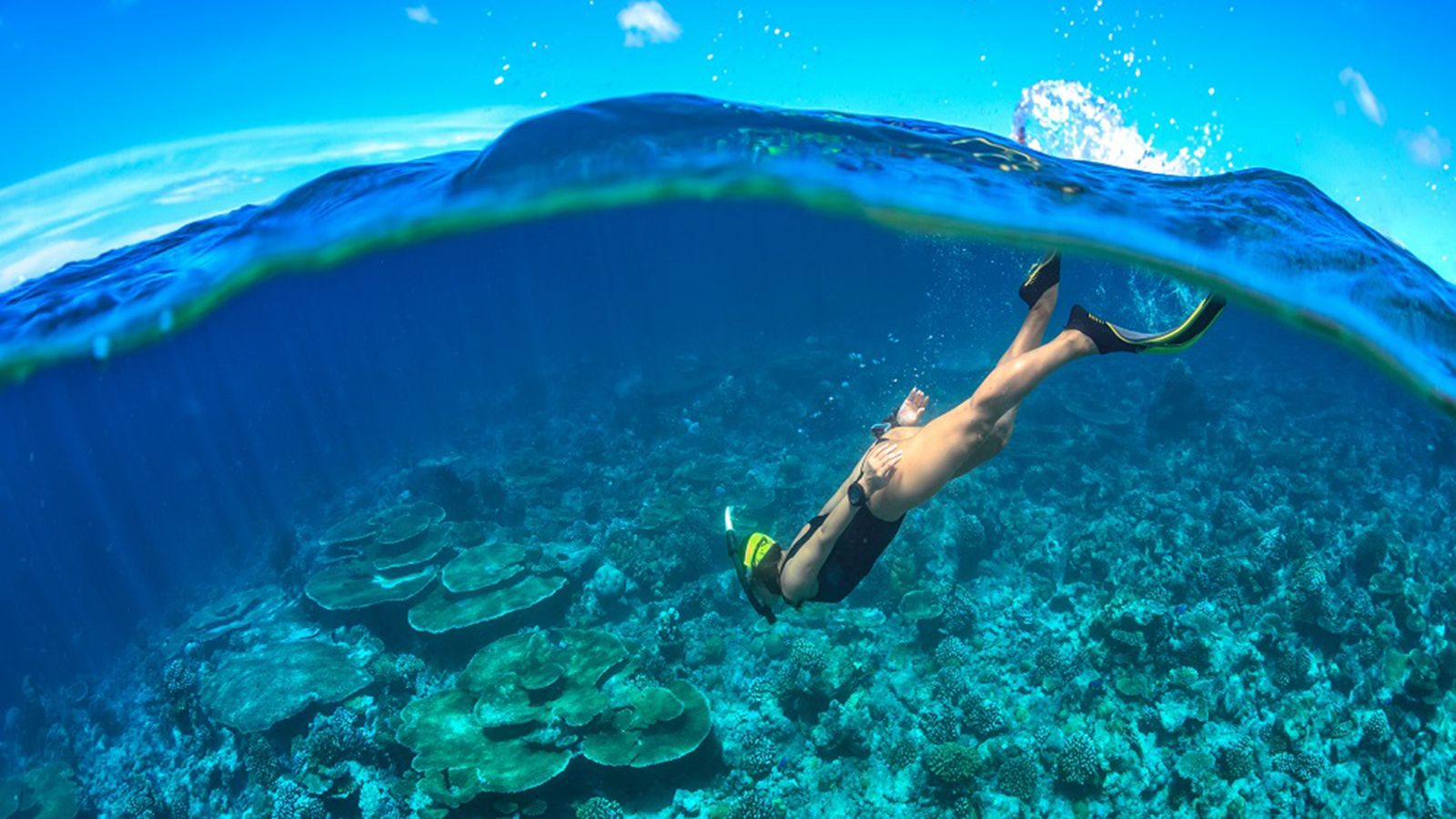 Snorkeling HD Wallpapers - Wallpaper Cave