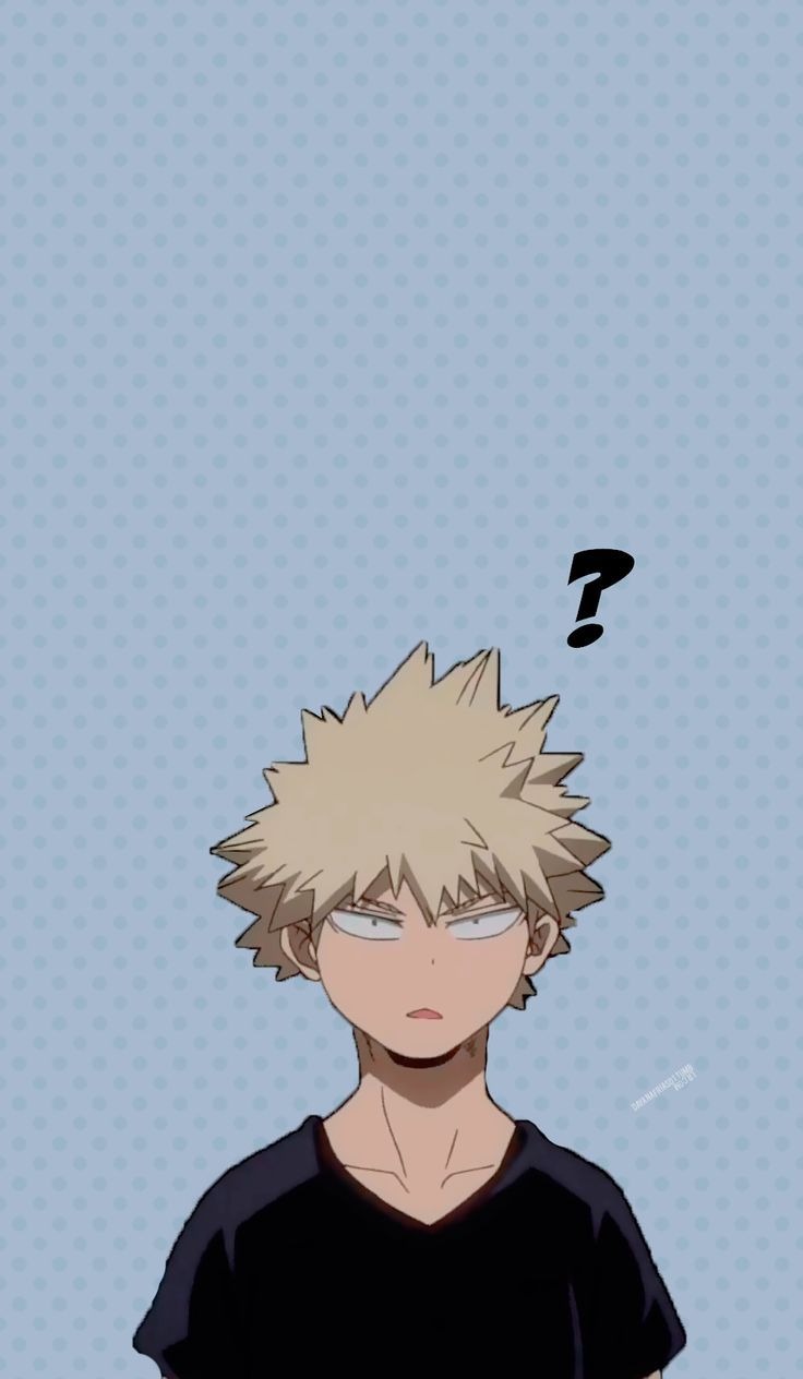 Featured image of post Aesthetic Bakugou Profile Pic