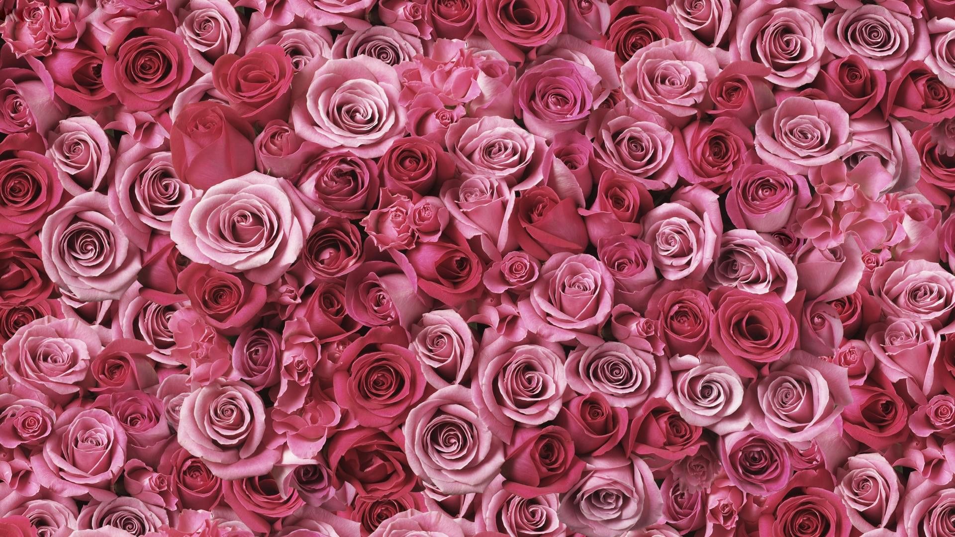 Pink Camo Wallpaper for Phone