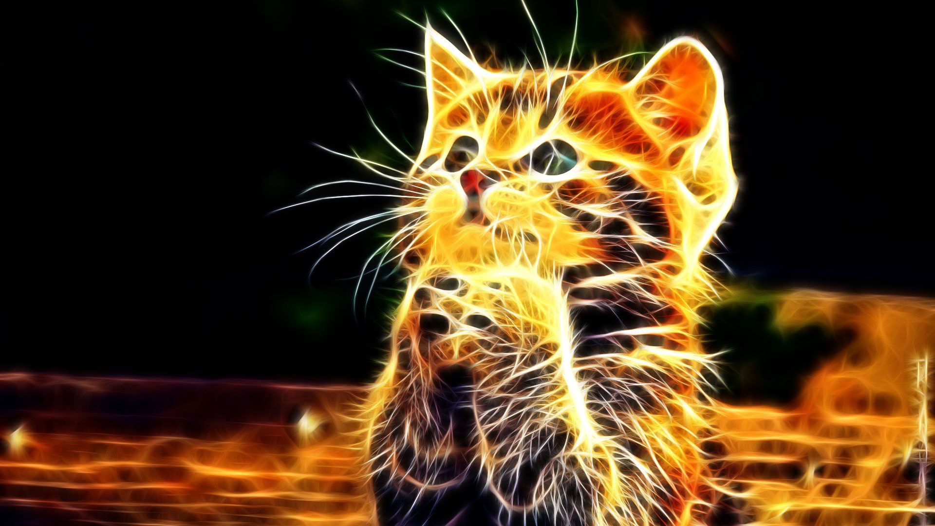 3D Cat Wallpaper