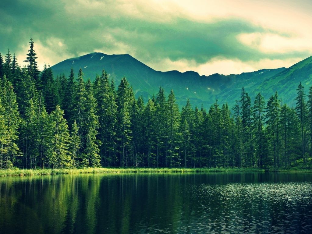 Mountain Green Forest Deep Sea wallpaper. Mountain landscape, Lake landscape, Landscape background