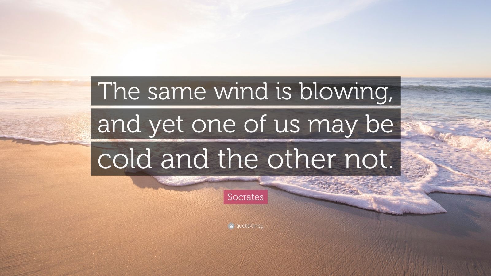 Socrates Quote: "The same wind is blowing, and yet one of us may.