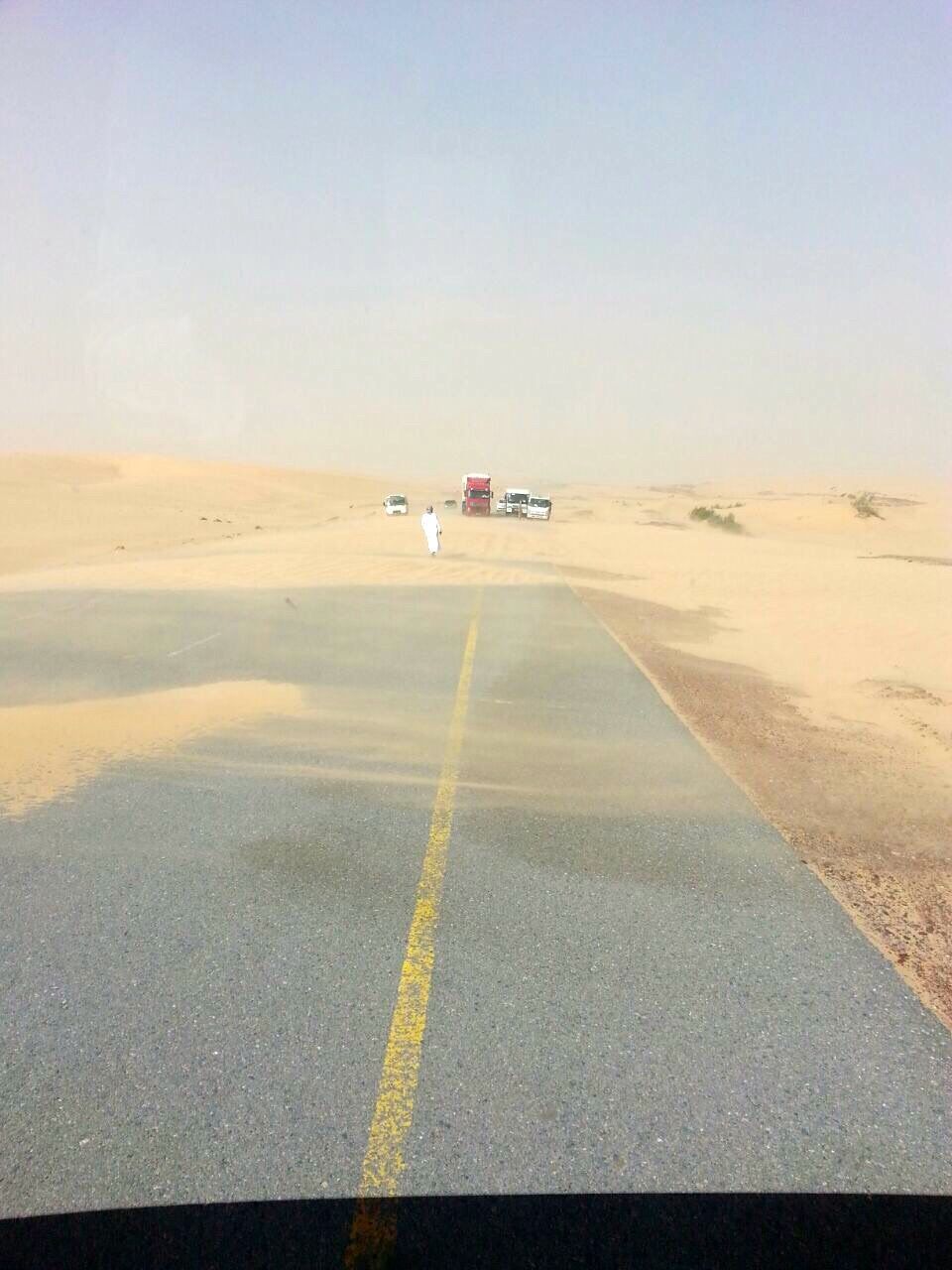 Stop Blowing Sand EBS for Long Term Sand Stabilization