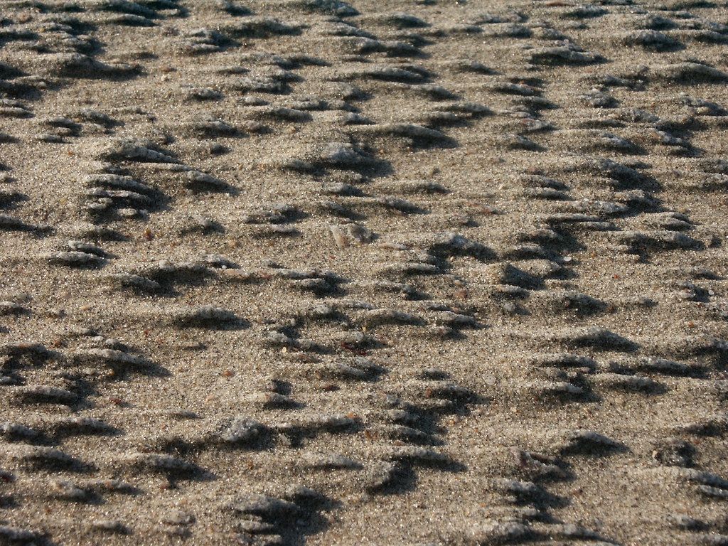 Wind Blown Sand Dune Lets. Tiny Sand Dunes Produced By Stro