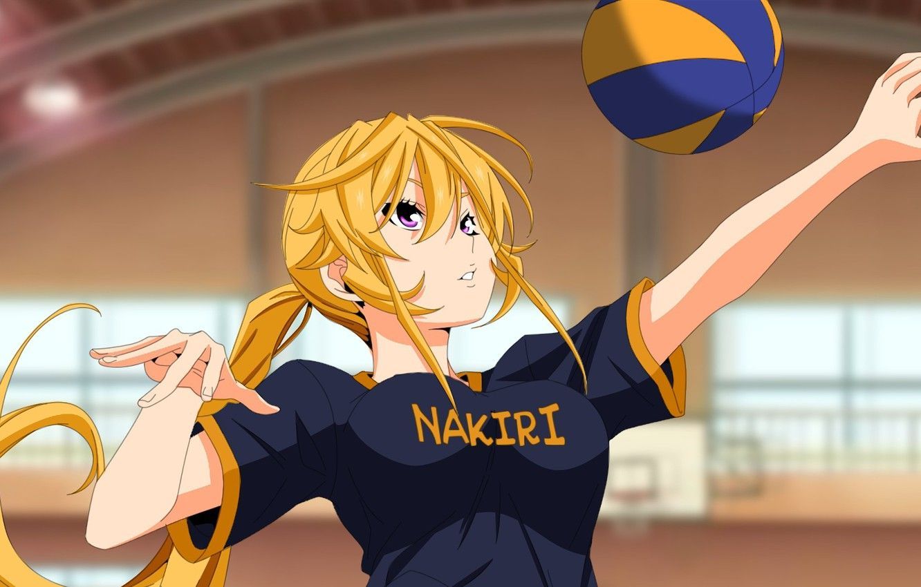 Female Volleyball Anime At Tim Eugene Blog