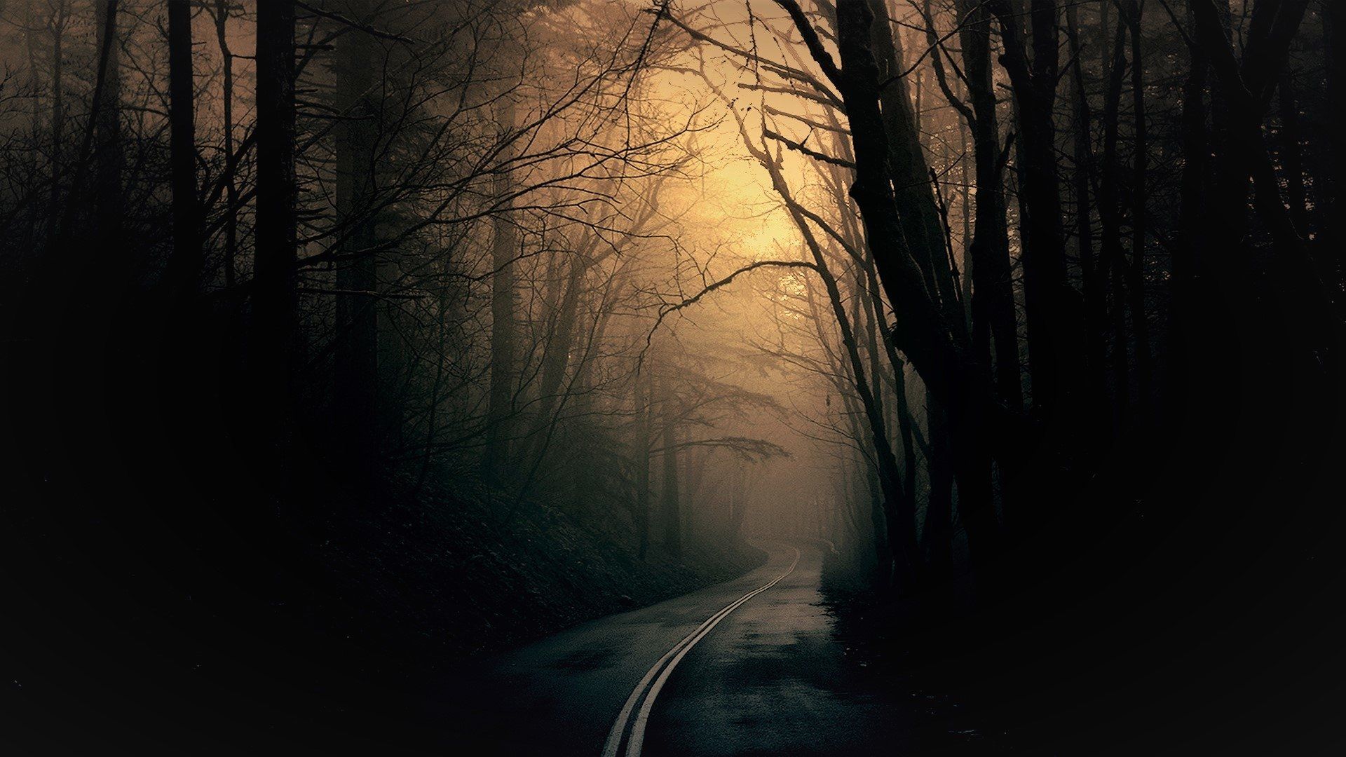 Dark Forest HD Wallpapers Wallpaper Cave