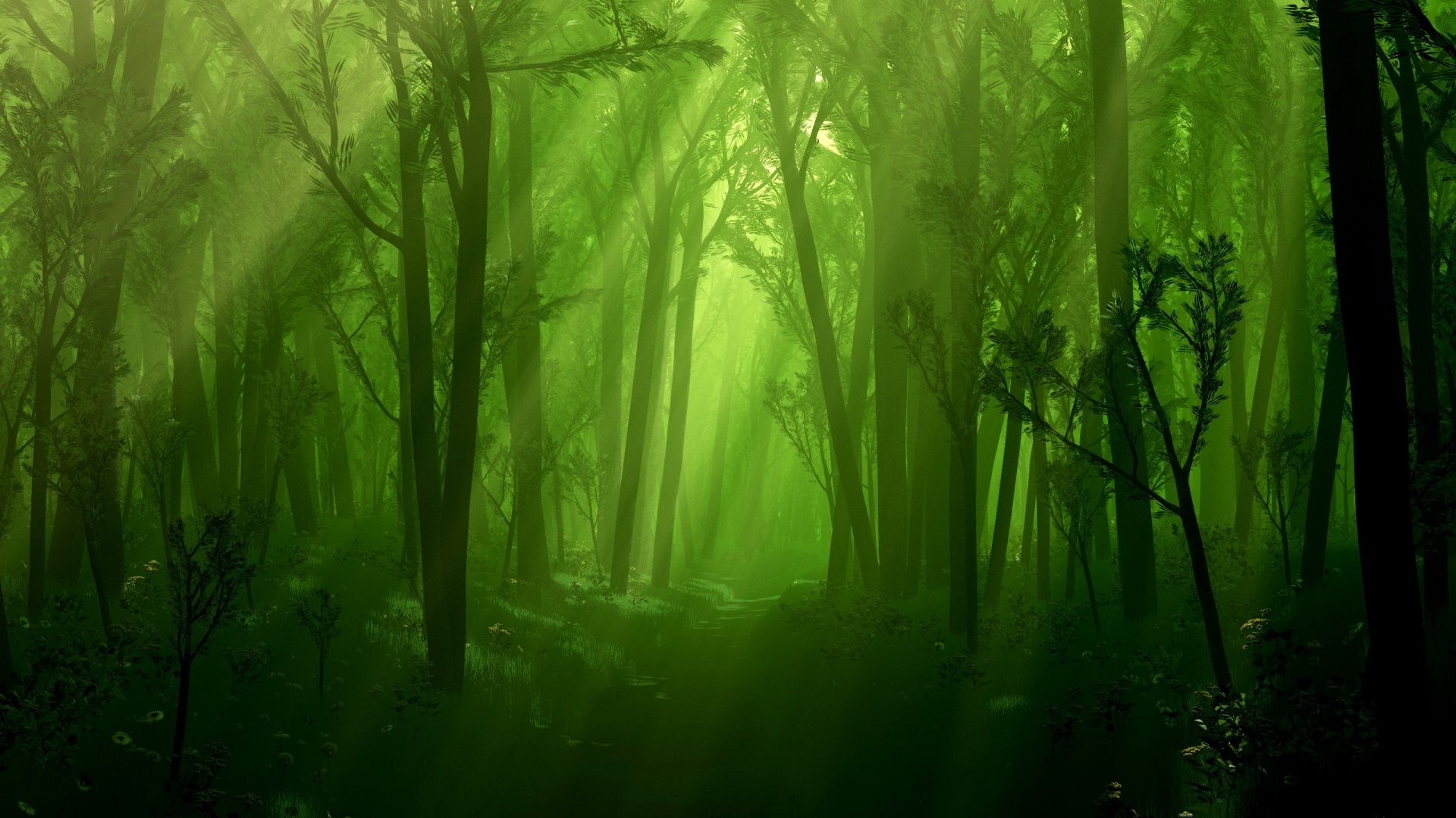 Awesome Dark Forest Wallpaper