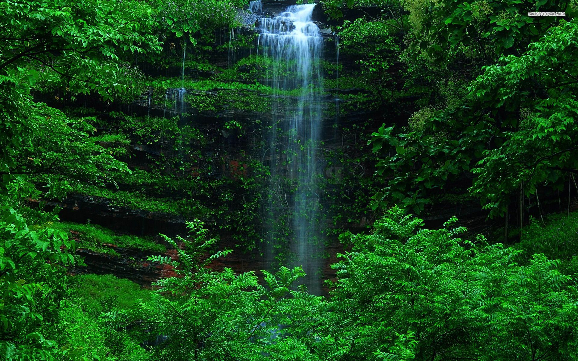 Waterfall Grass Green Forest wallpaper. Waterfall Grass Green