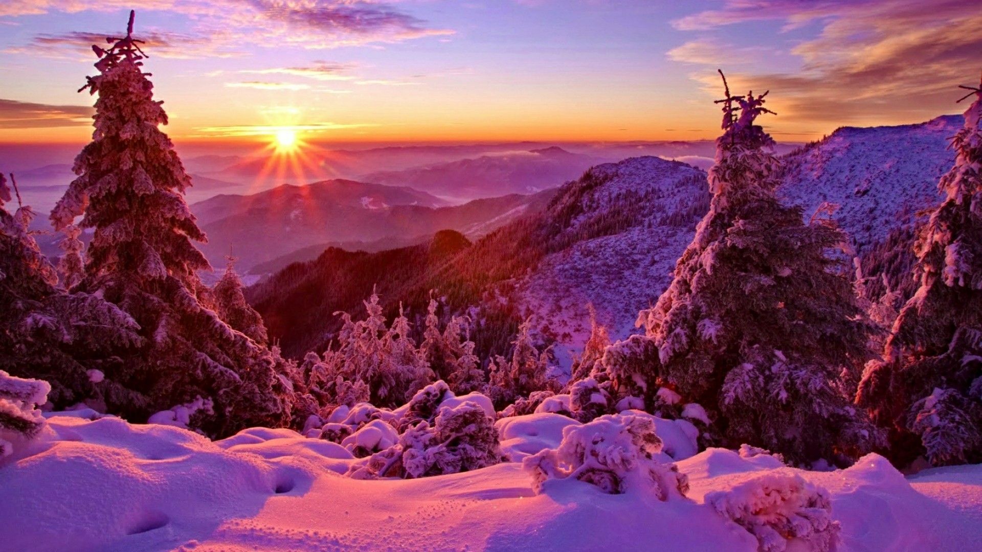 Landscape Portrait Sunset In Winter, Download