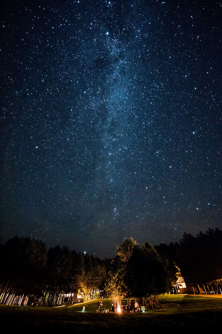 HD wallpaper: brown trees under starry night, sky, starlight, camp