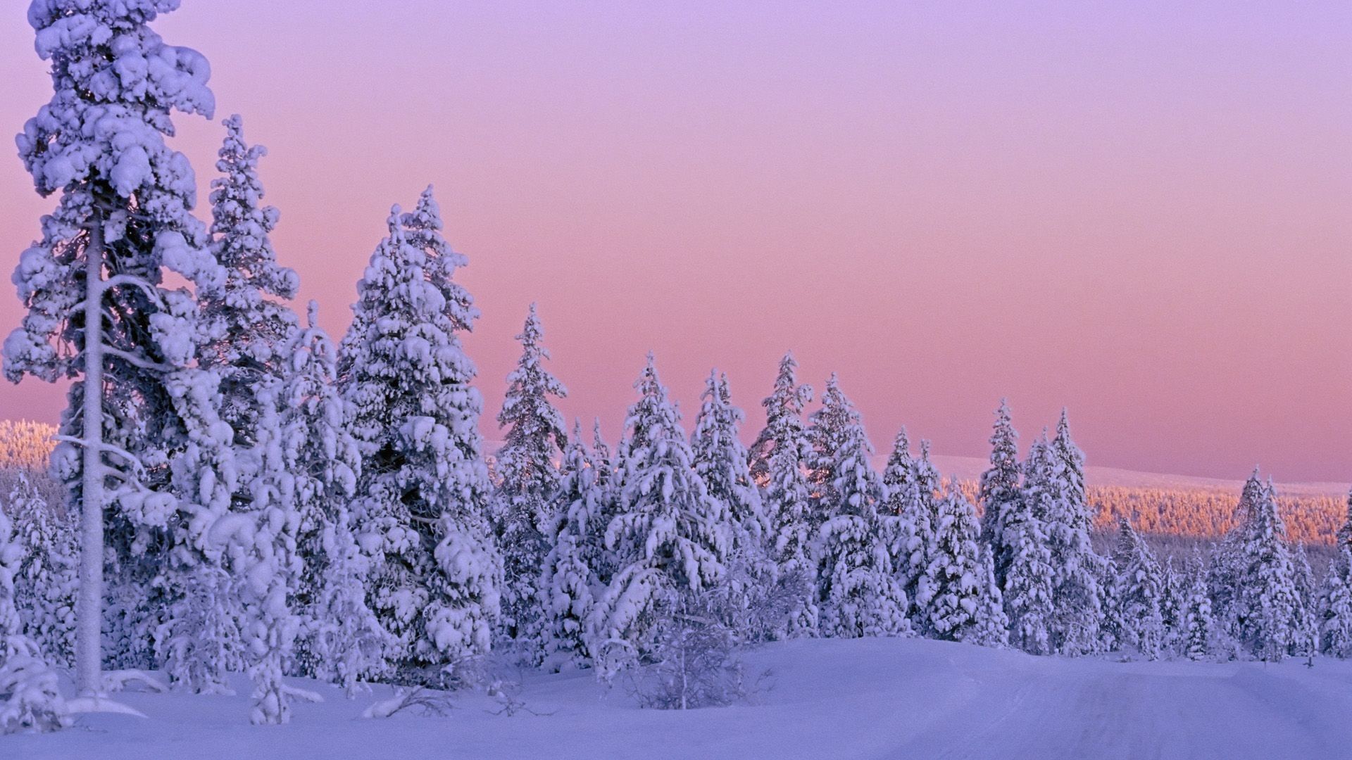 Pretty Winter Background