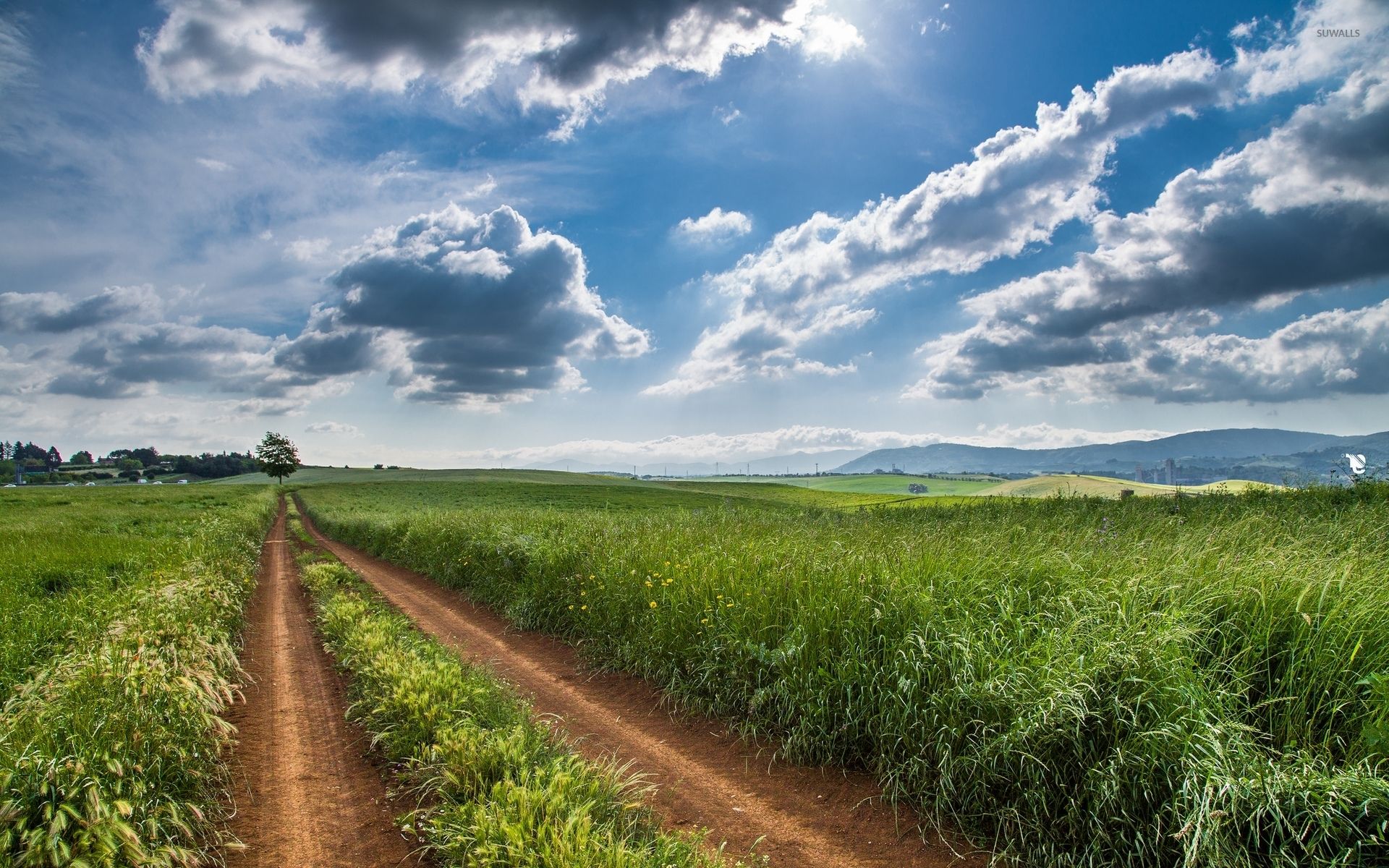 Spring day by the green field wallpaper wallpaper