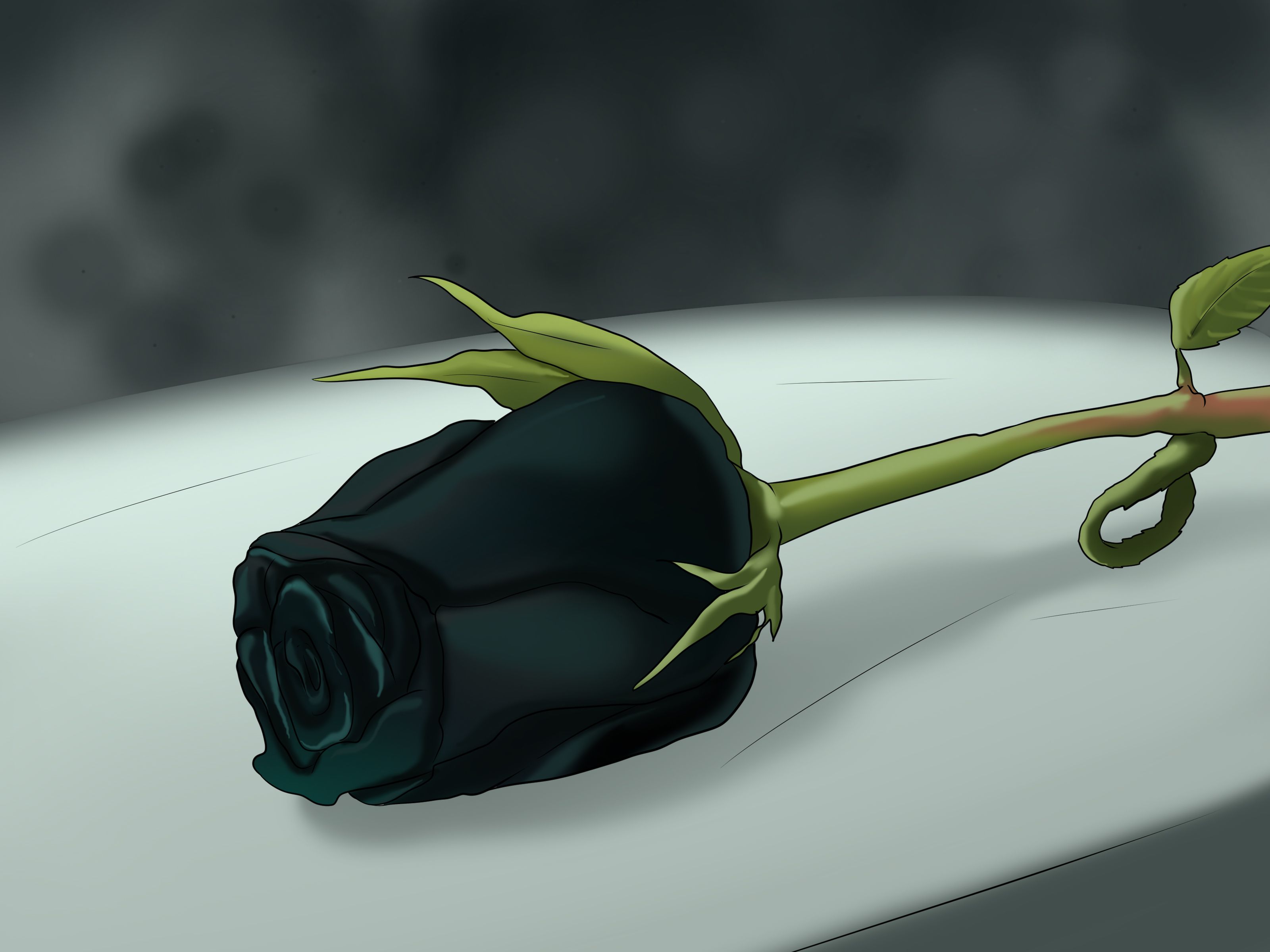 Free Black Rose Picture, Grow Black Rose, 3200x2400