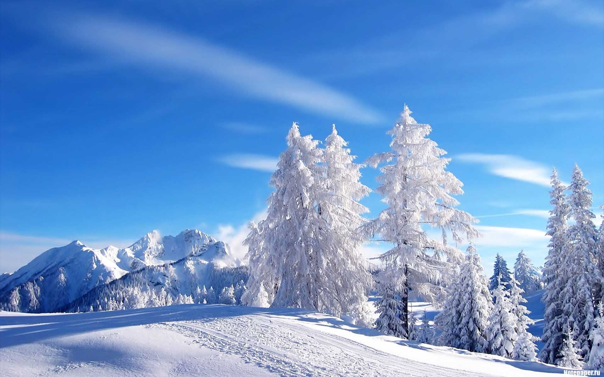 Snow Scenes Desktop Background. Snow Scene. Winter landscape, Winter nature, Winter scenes