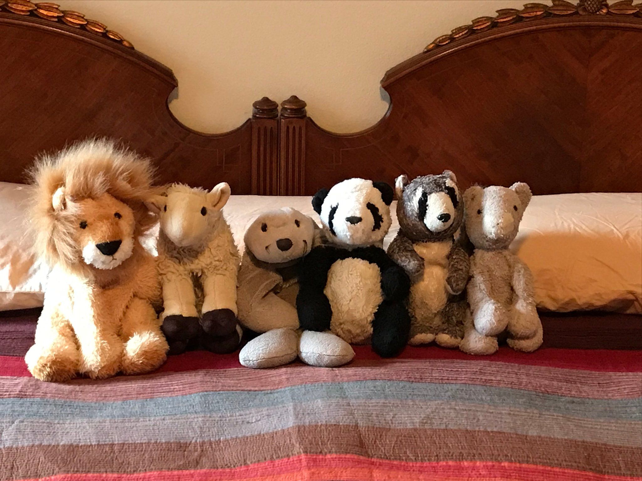 My Best Source of Comfort': Adults With Stuffed Animals Describe
