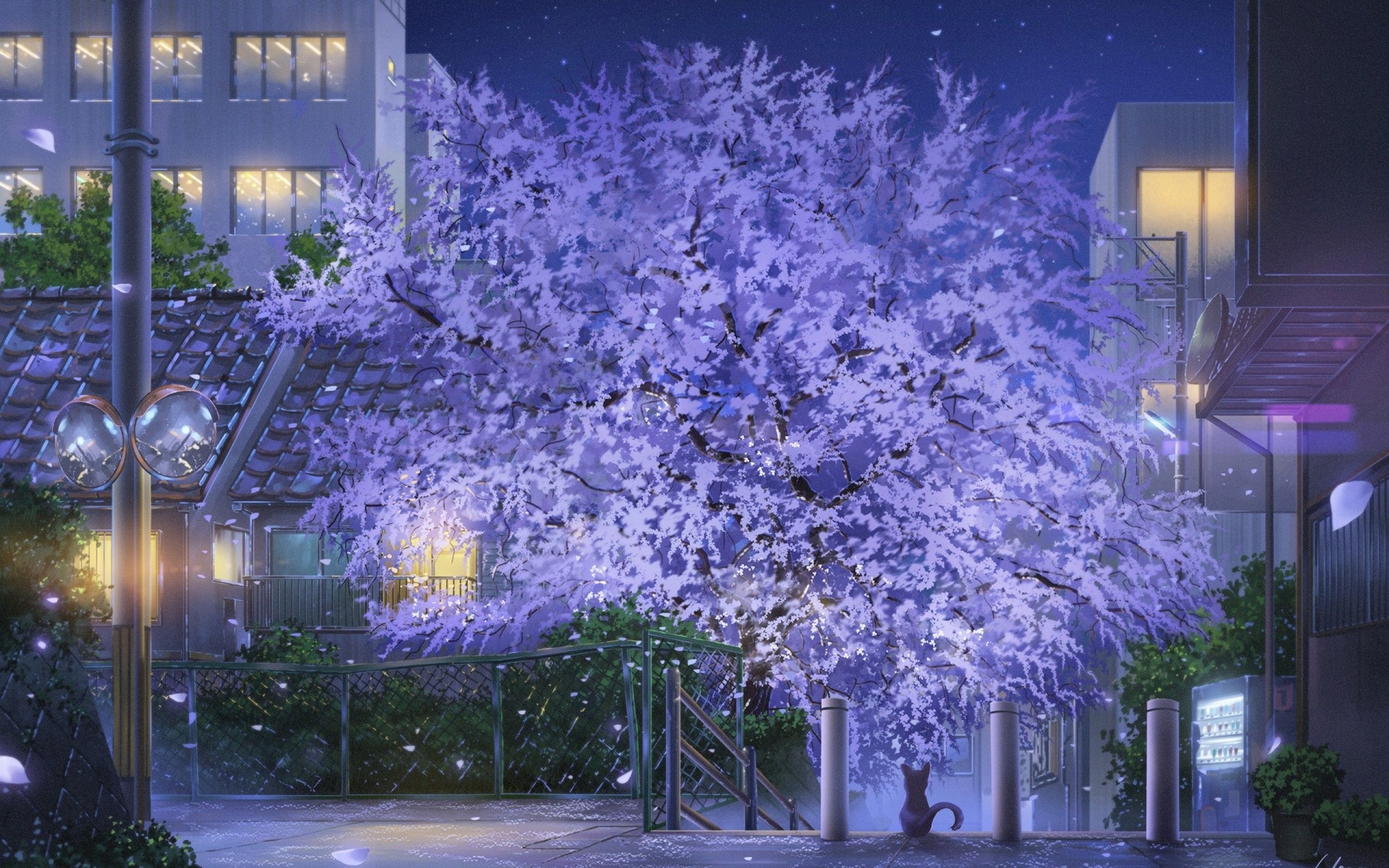 Download 2560x1600 Anime Scenic Park, Cat, Night, Stars, Buildings