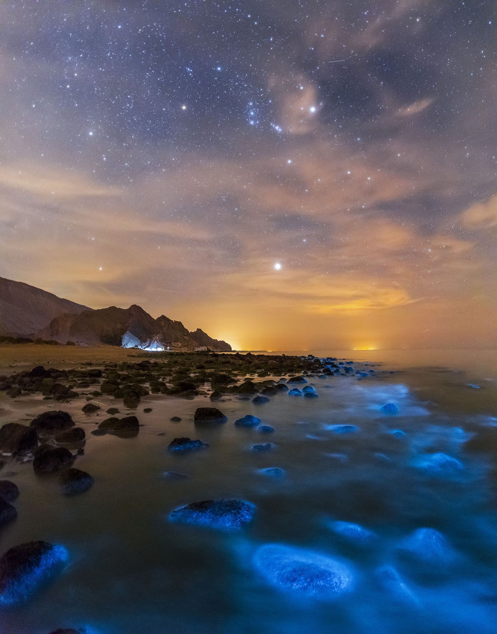 Bioluminescent Phytoplankton in the Persian Gulf and Orion