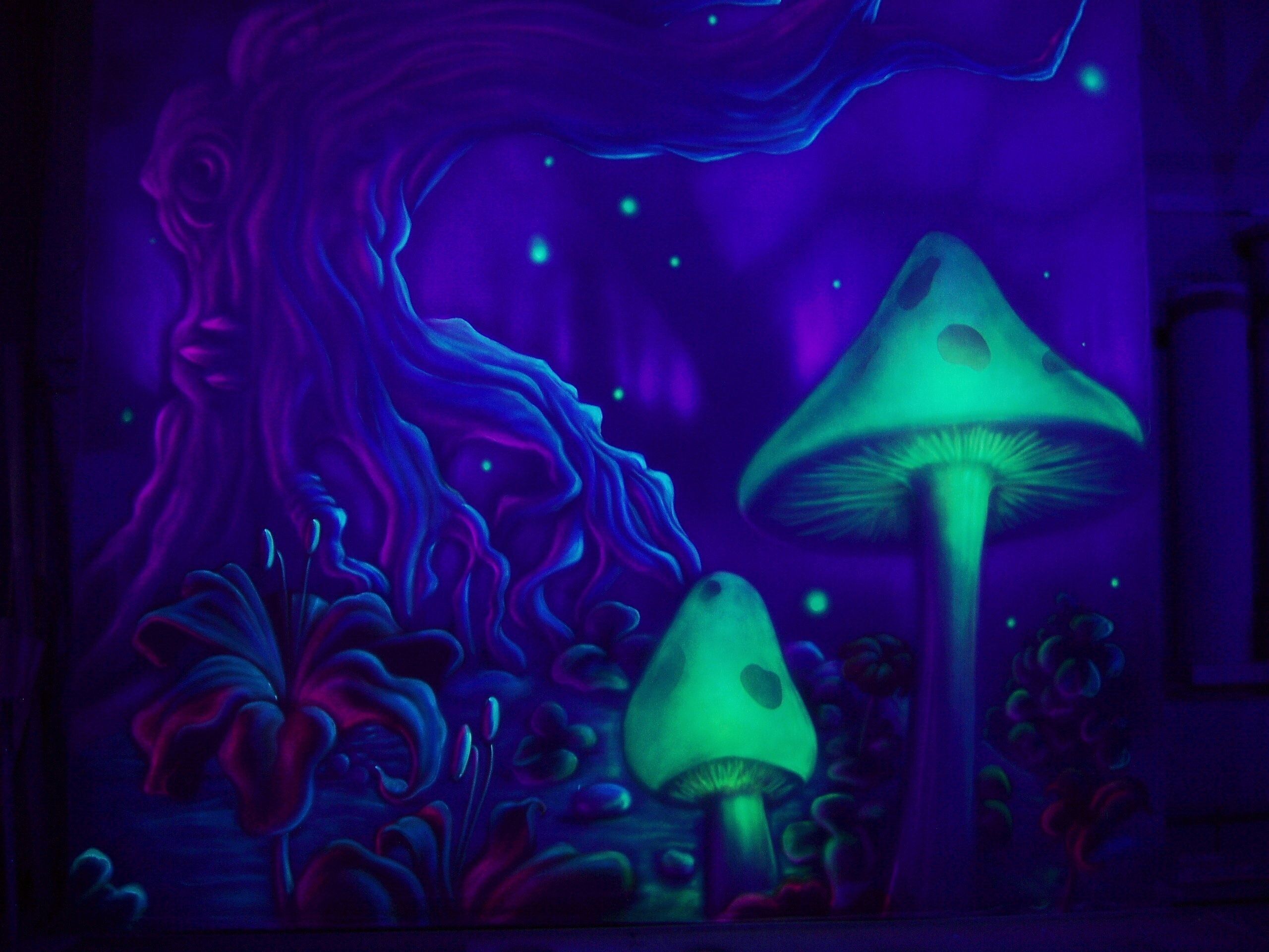 62+ Trippy Mushroom Wallpapers.