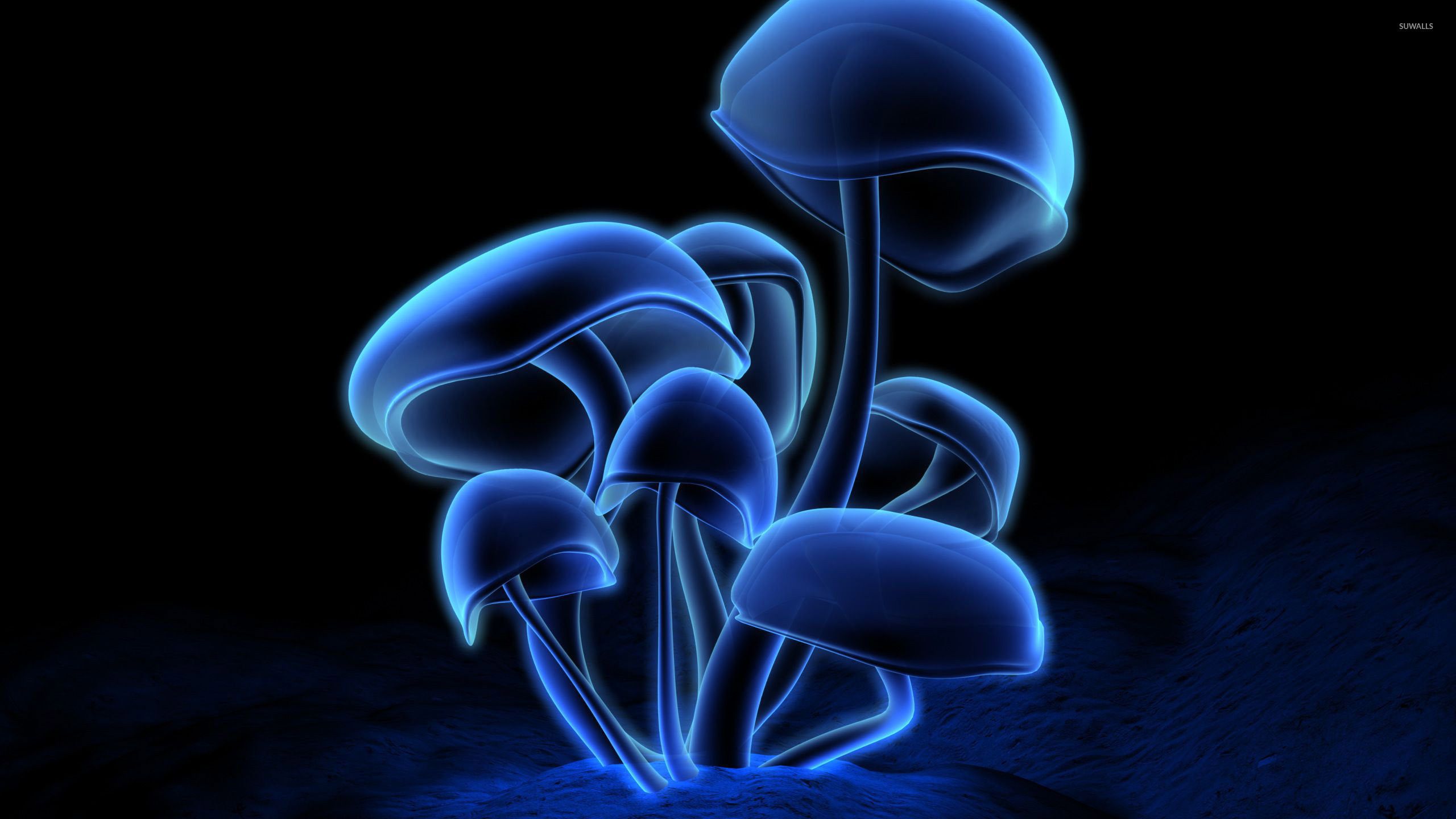 Free download 57 3D Mushroom Wallpaper