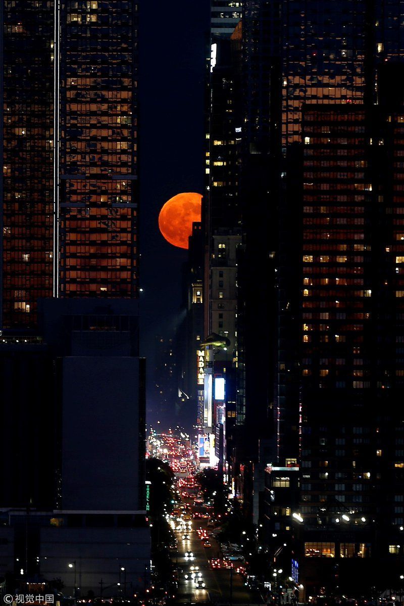 Free download strawberry moon over NYC 2018 Enjoy in 2019 City