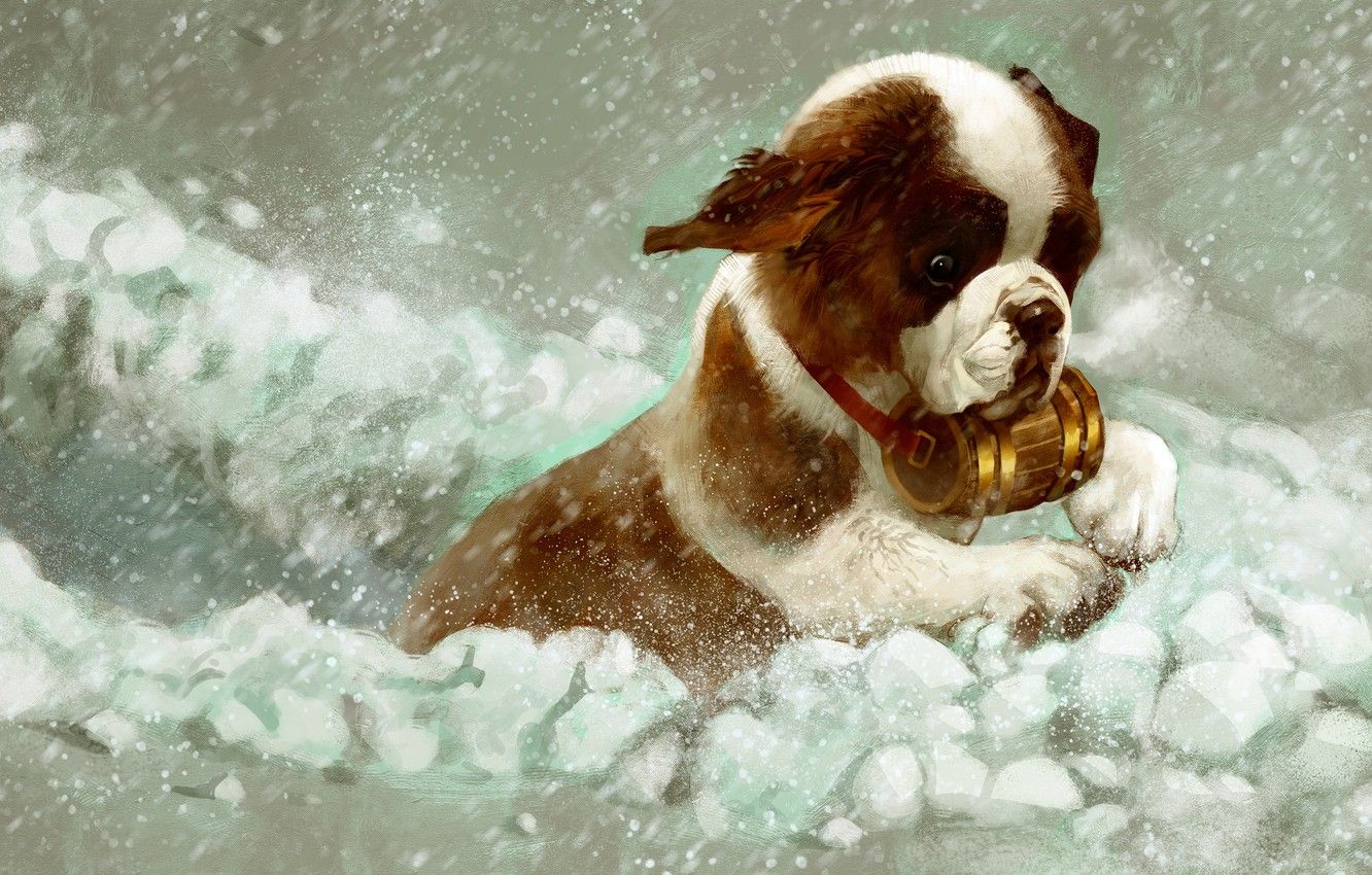 Wallpaper winter, snow, St. Bernard, puppy image for desktop