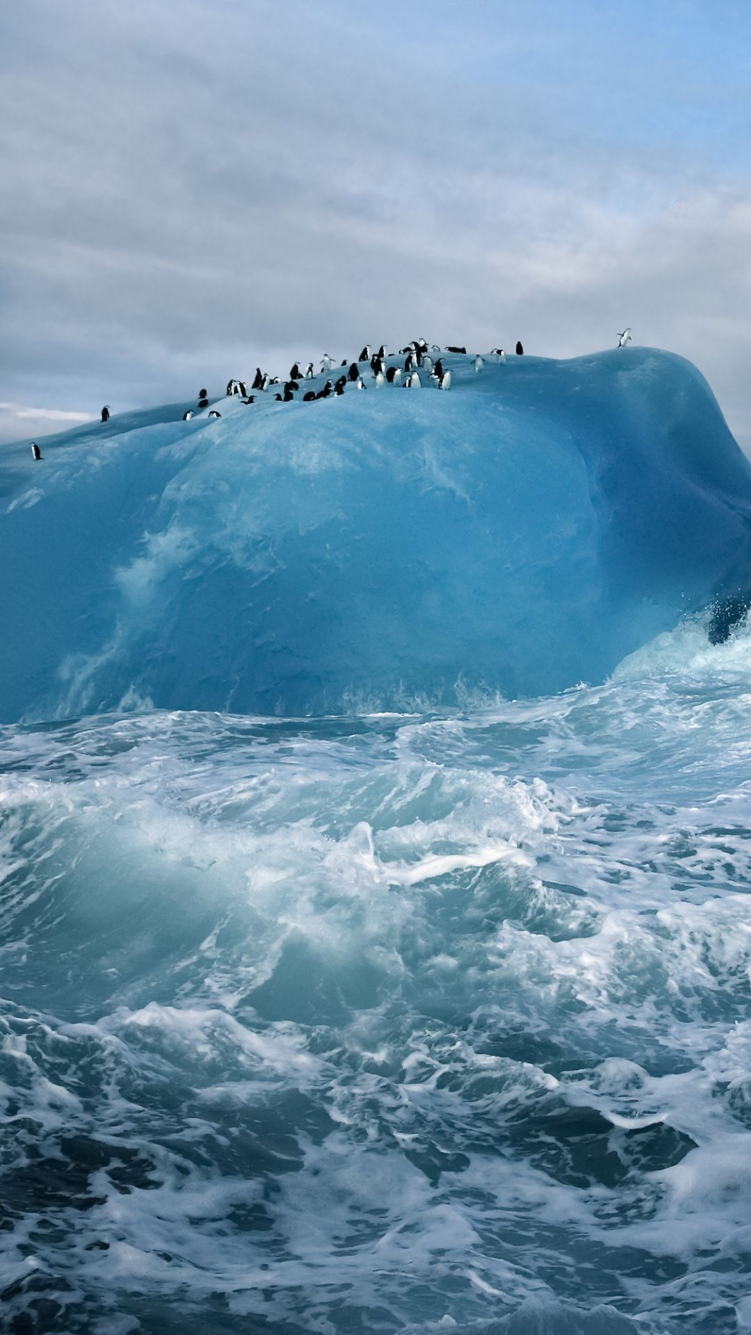 gyclli: “ Antarctica, Penguins, Ice, Ocean Wallpaper