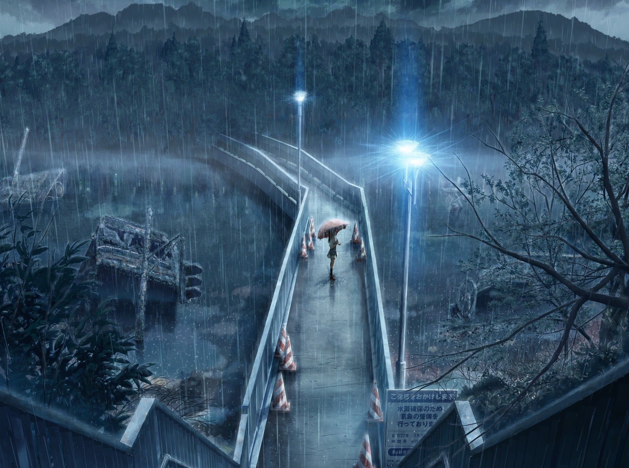 Person holding umbrella illustration, anime, artwork, rain HD