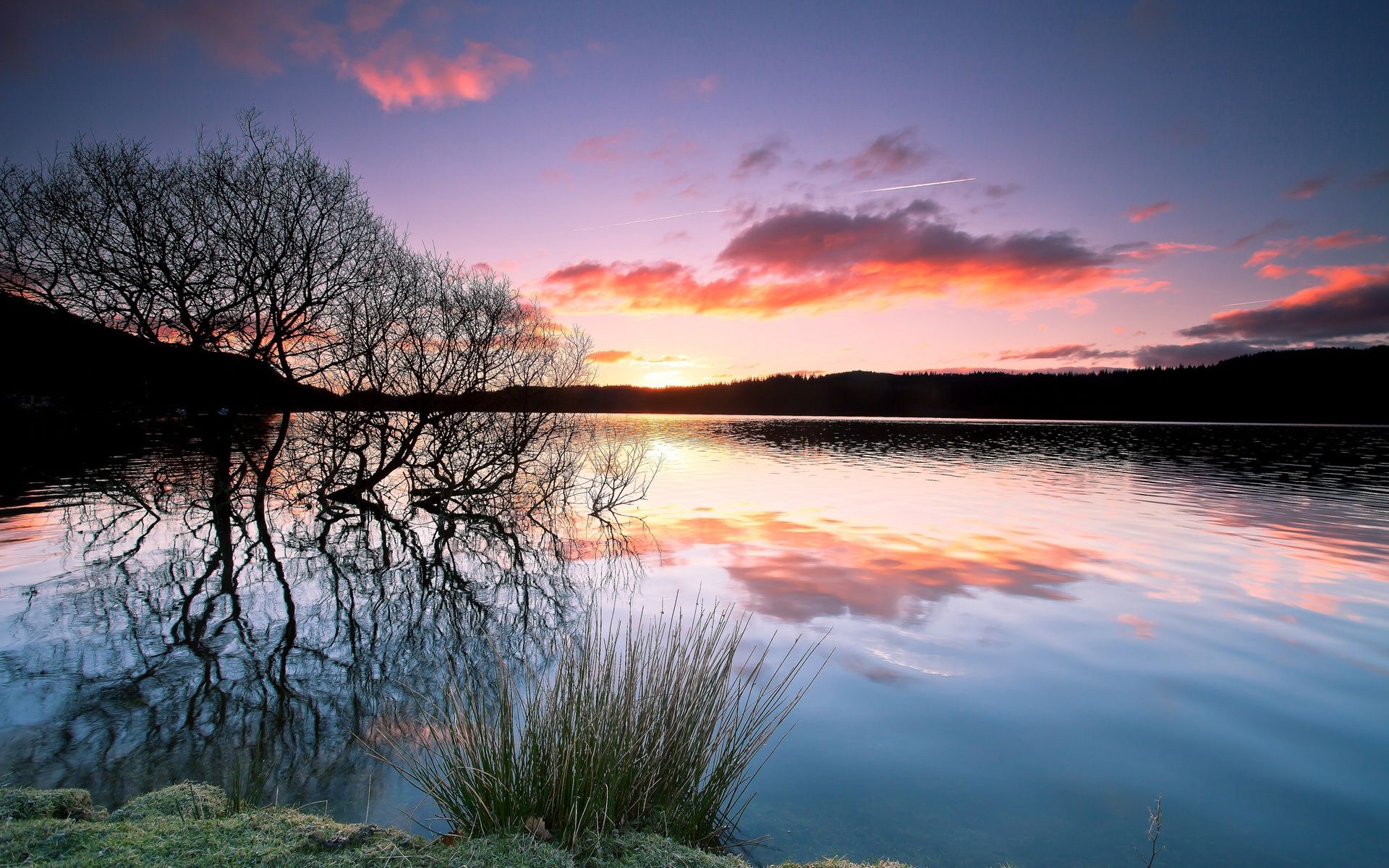 Trees, lake, water reflection, sunset, twilight wallpaper. nature