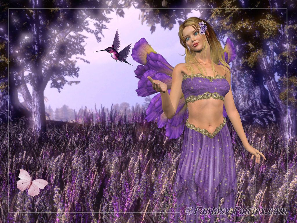 Free download fairy wallpaper desktop shining butterfly fairy