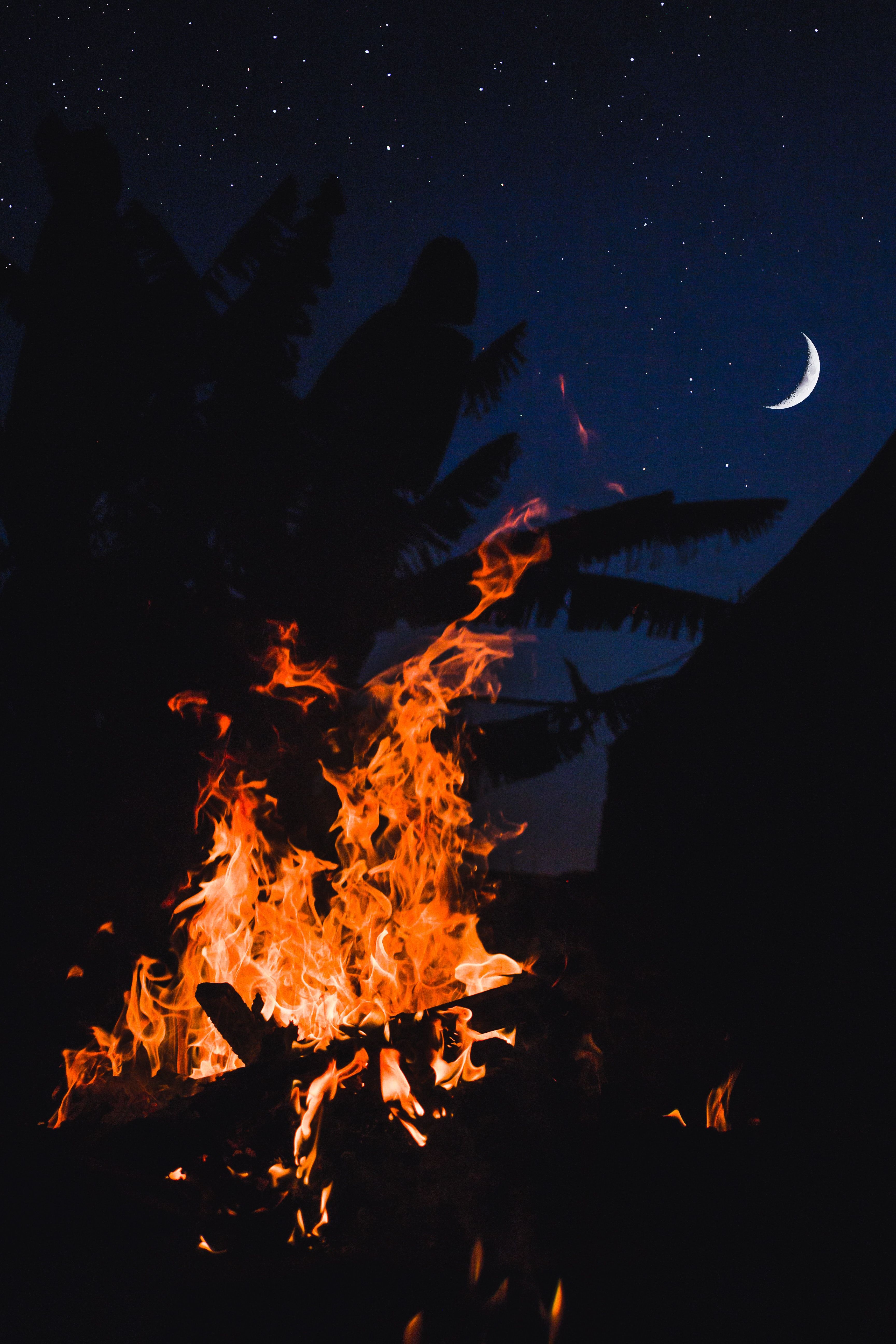 Bonfire Under Crescent Moon in the Sky · Free