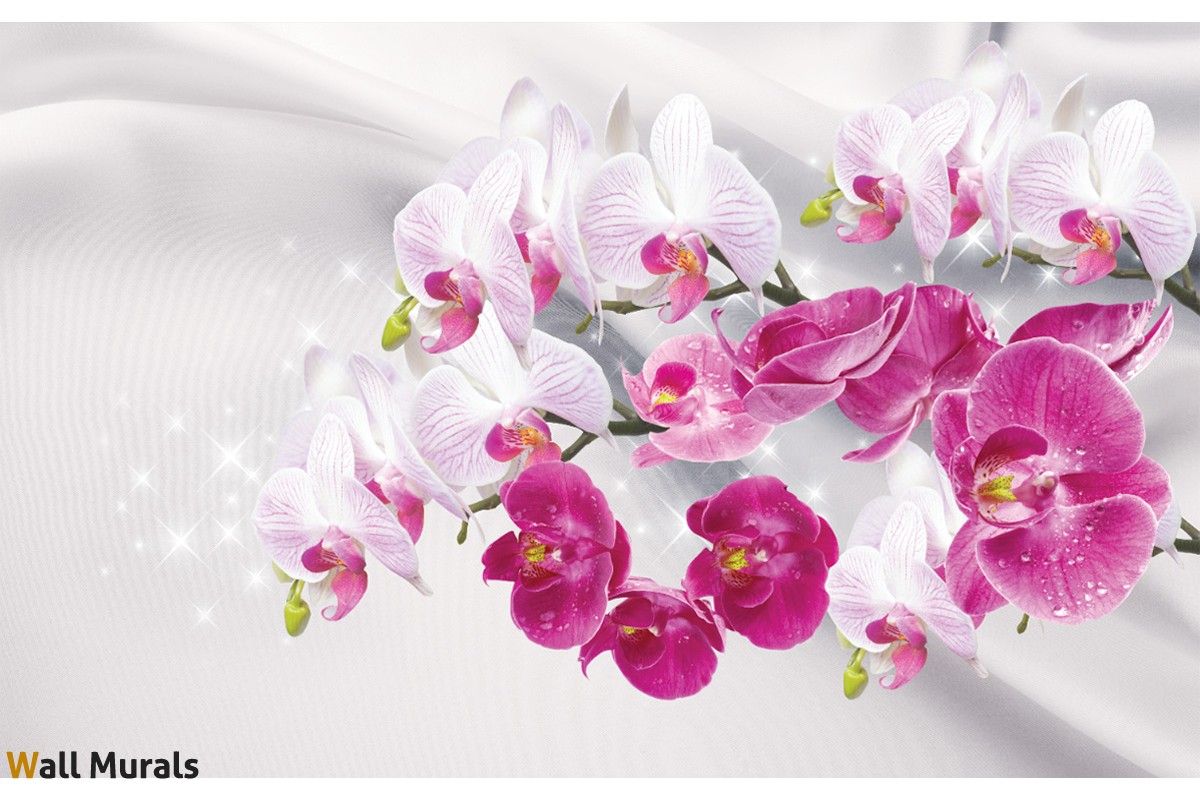 Wallpaper twigs white and pink orchids background silk