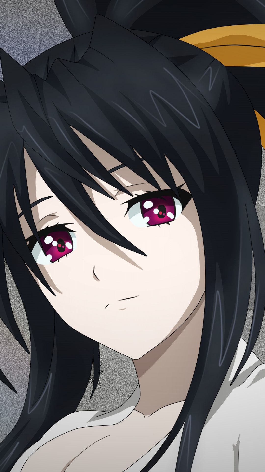 Download 1080x1920 wallpaper akeno himejima, high school dxd