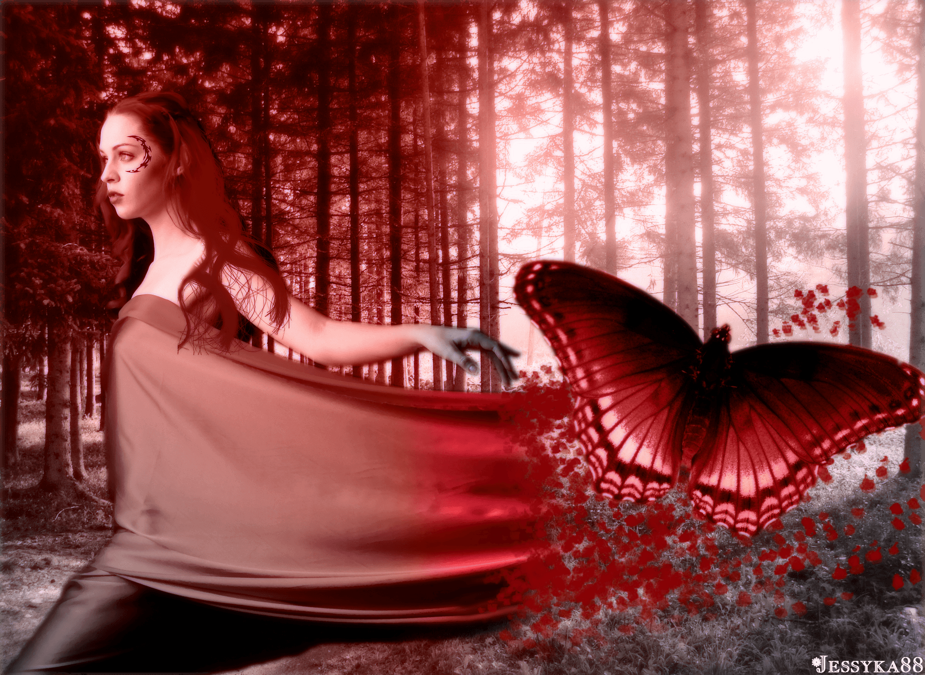 Dreamy woman and butterfly in forest Wallpaper and Background