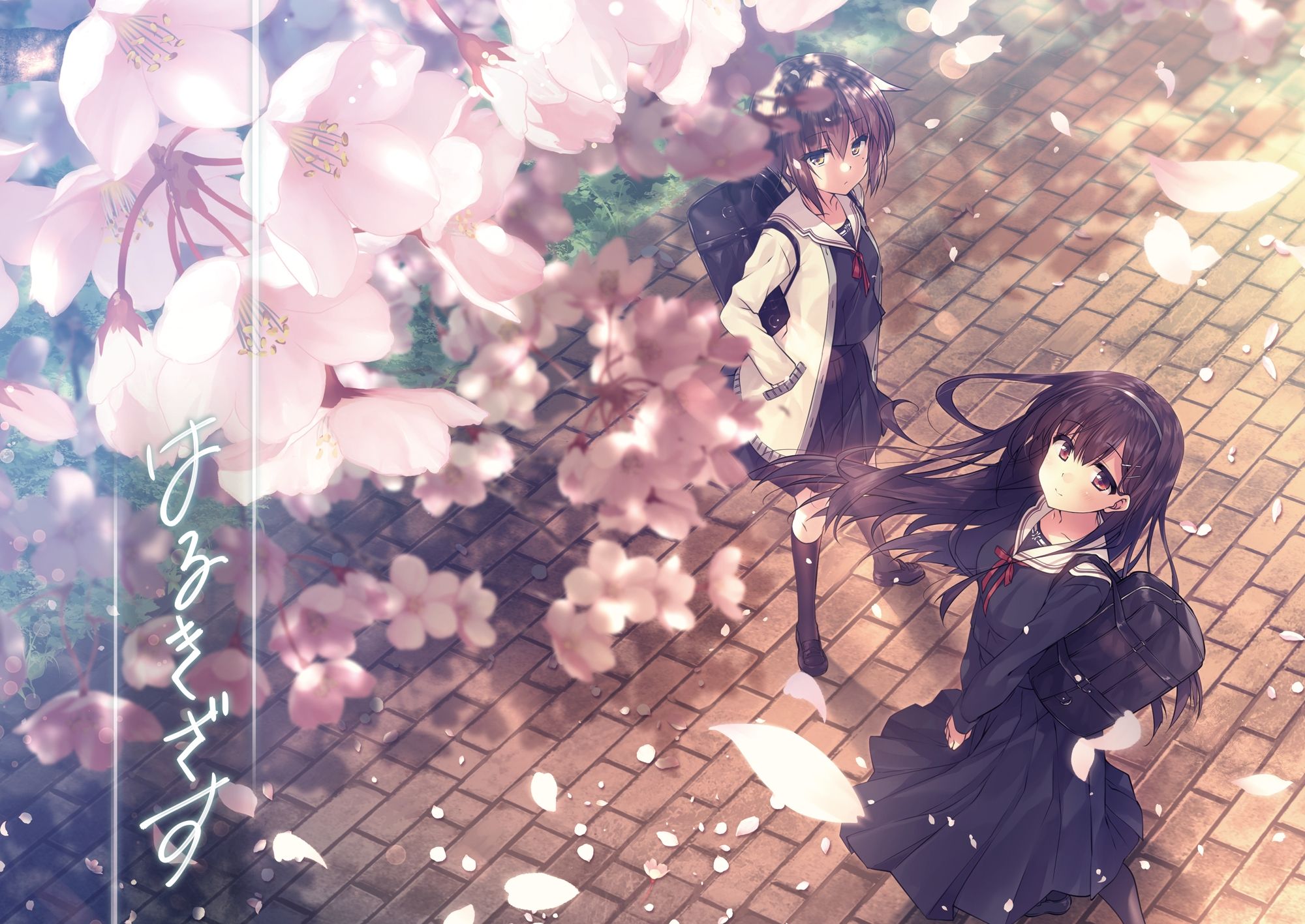 Download 2000x1417 Sakura Blossom, Spring, Anime Girls, School