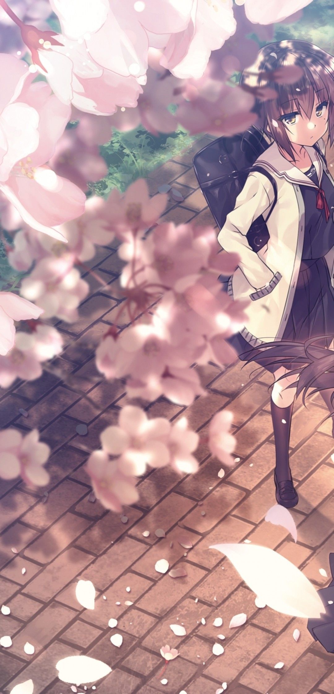 Download 1080x2240 Sakura Blossom, Spring, Anime Girls, School