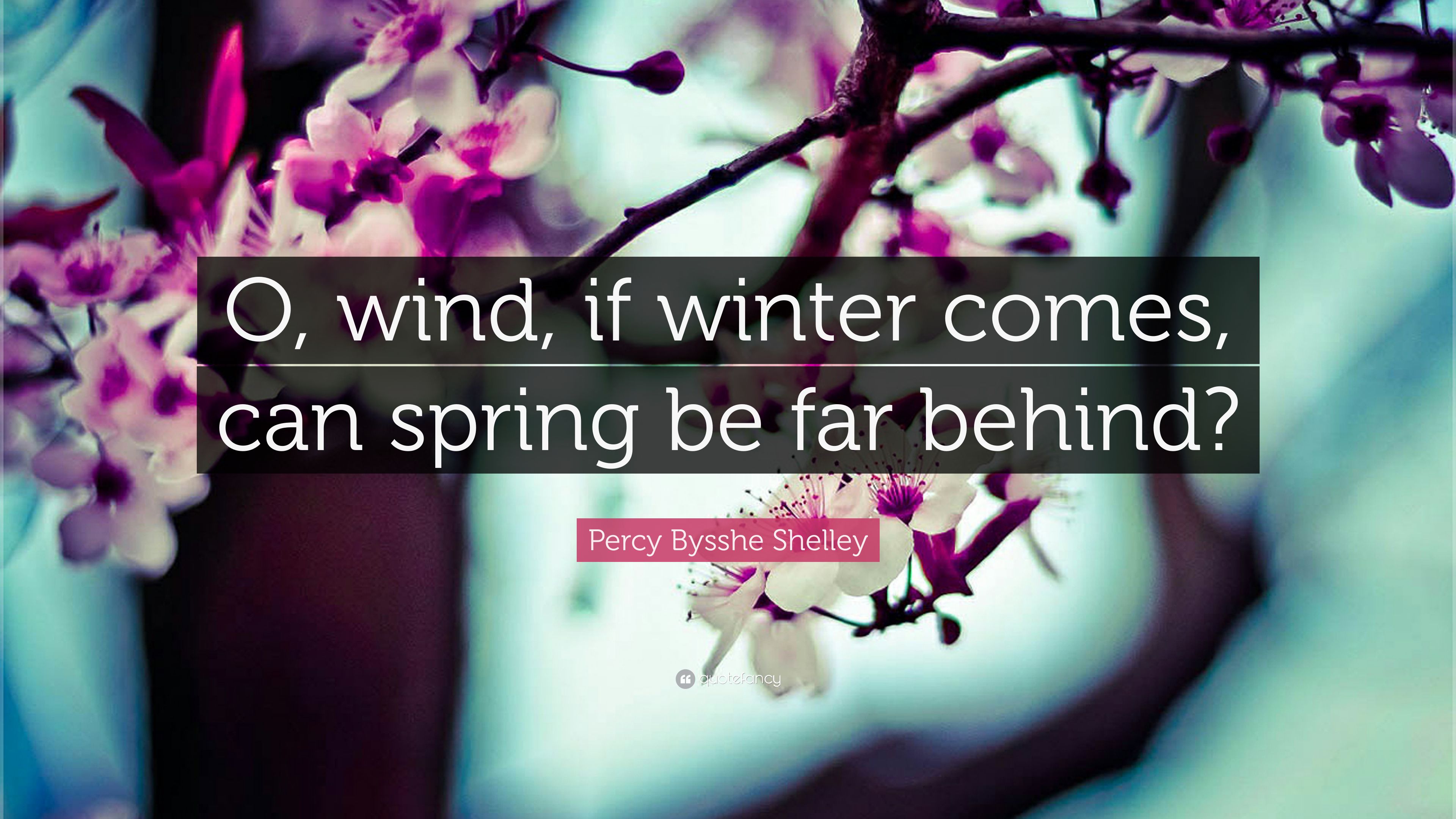Percy Bysshe Shelley Quote: “O, wind, if winter comes, can spring